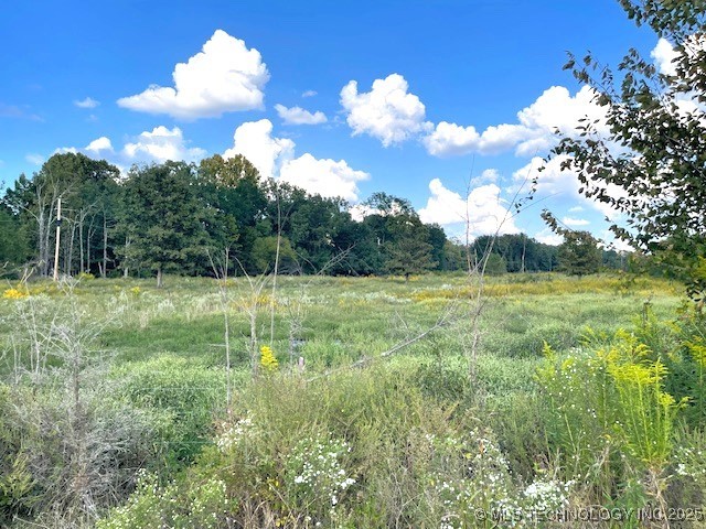 1250 Elder Branch Road Property Photo 17