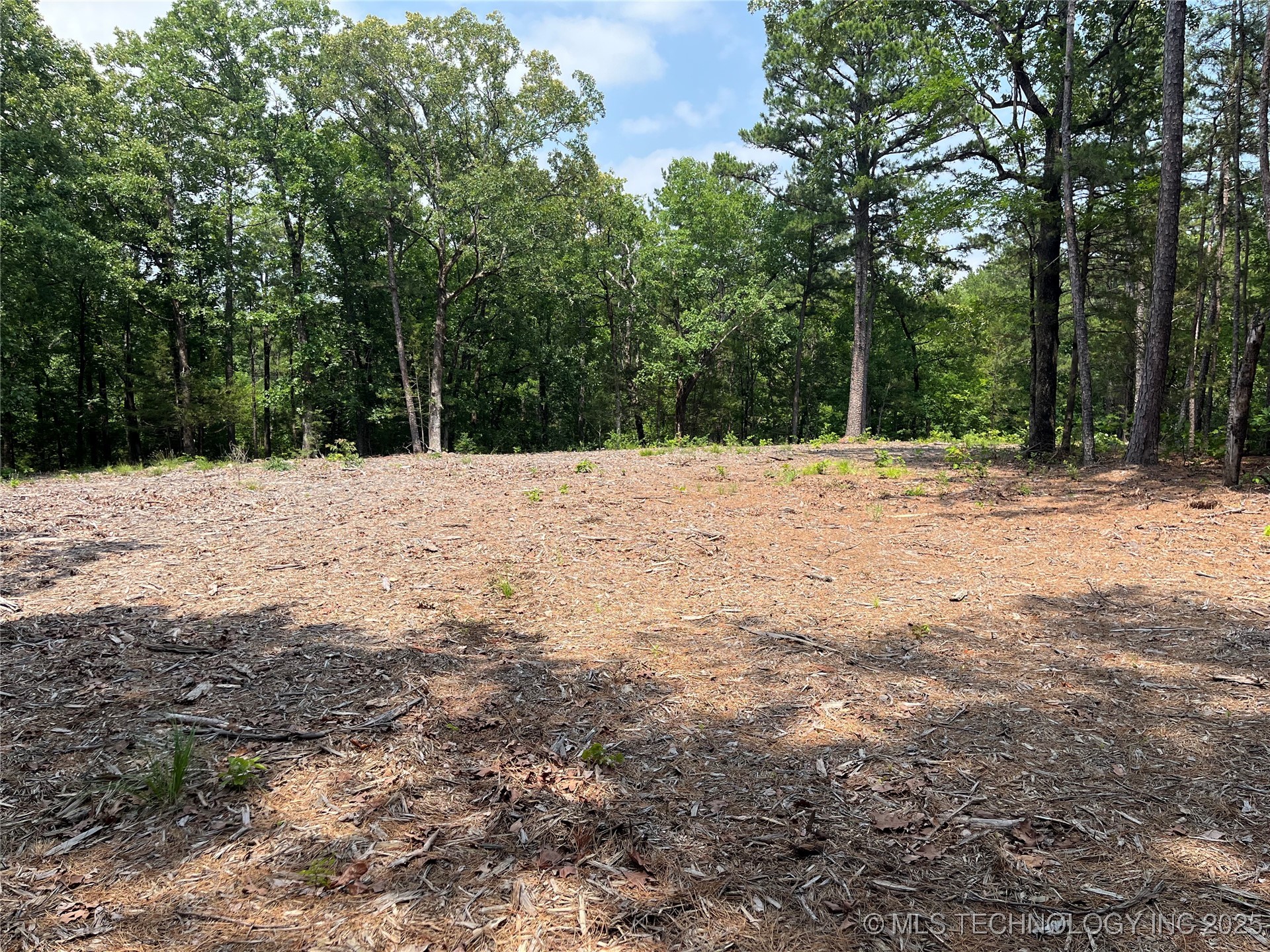 00003 Indian Hwy Property Photo 6