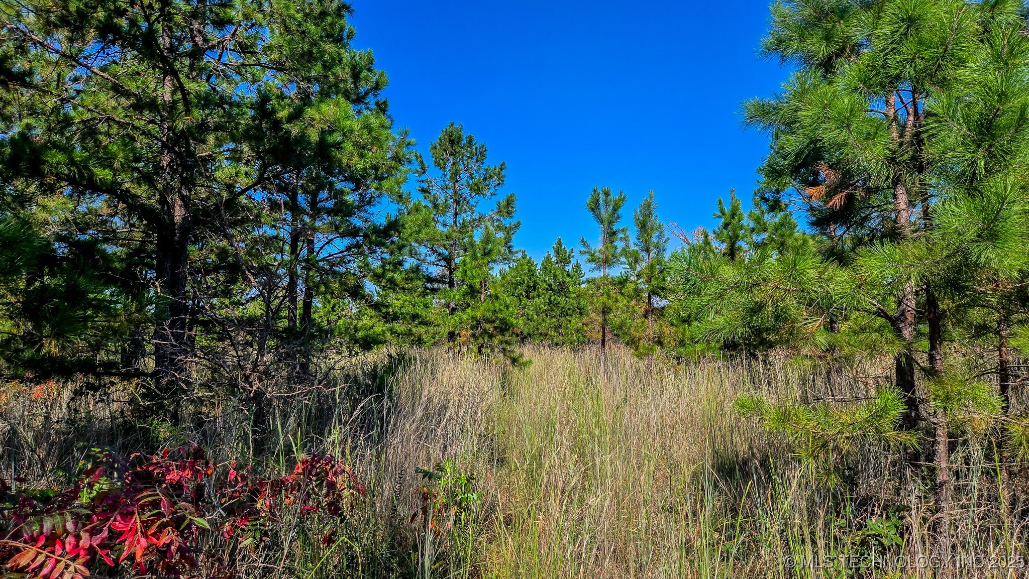 S 4270 Road Property Photo 29