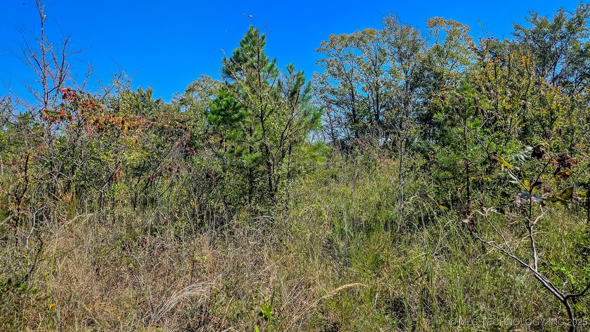 S 4270 Road Property Photo 30