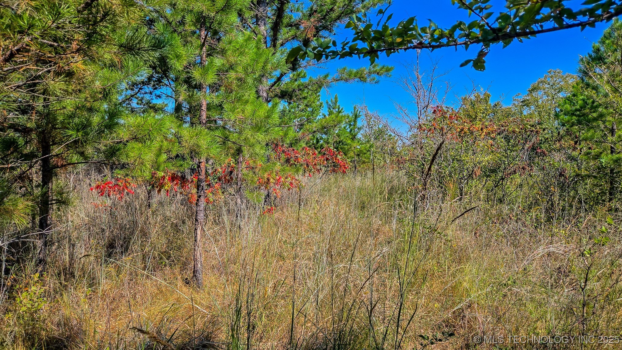 S 4270 Road Property Photo 31