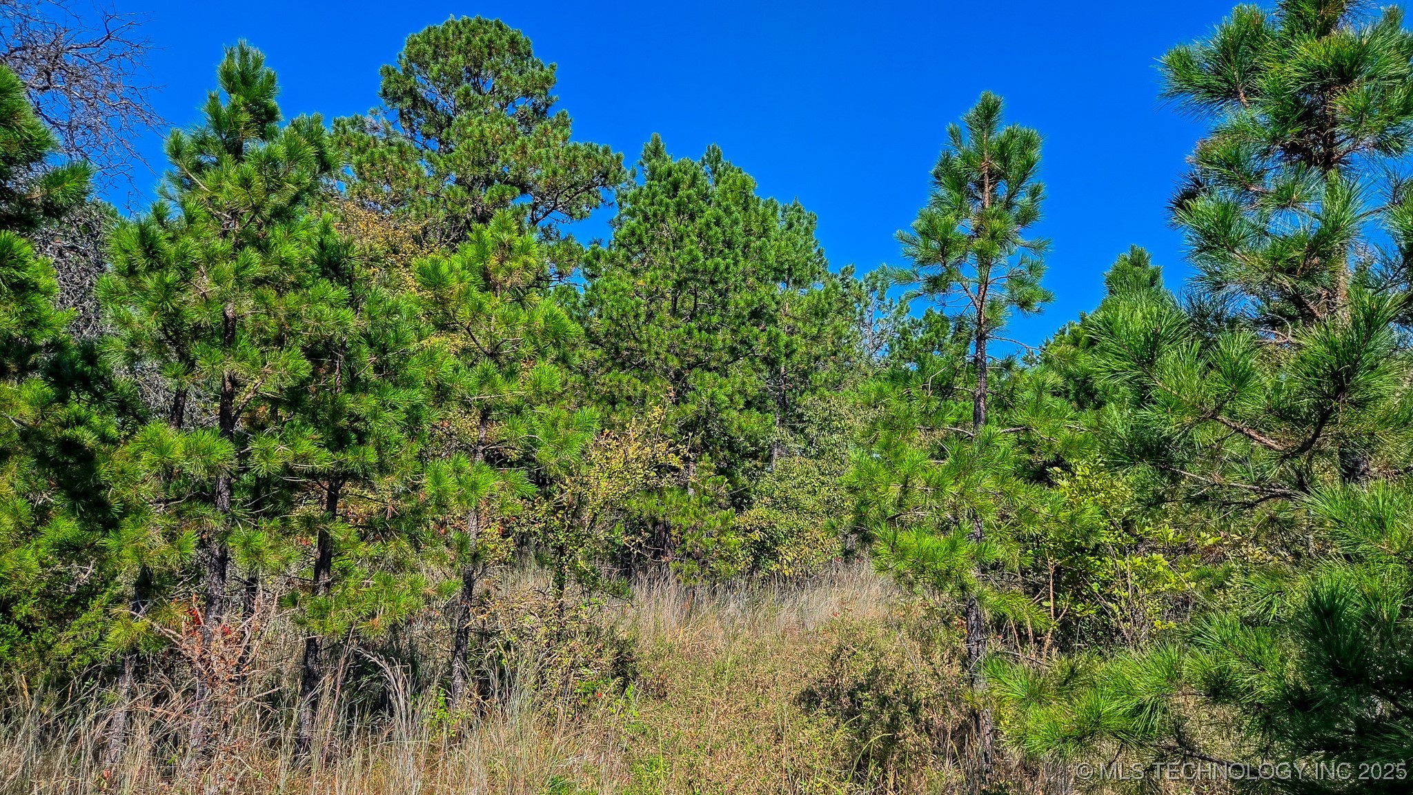 S 4270 Road Property Photo 32