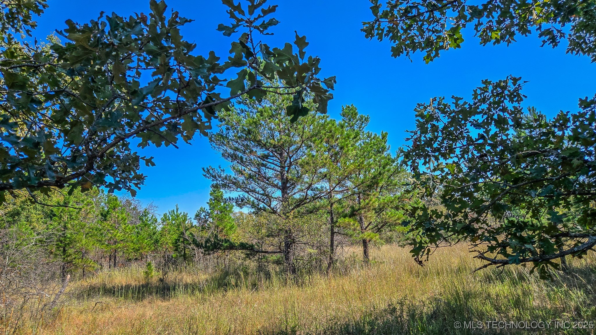 S 4270 Road Property Photo 36