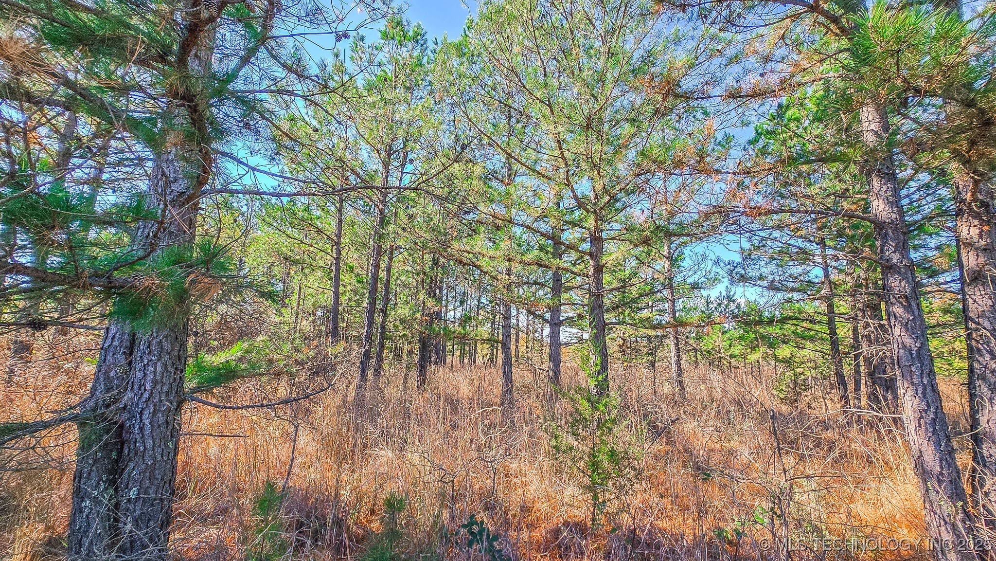 S 4270 Road Property Photo 39