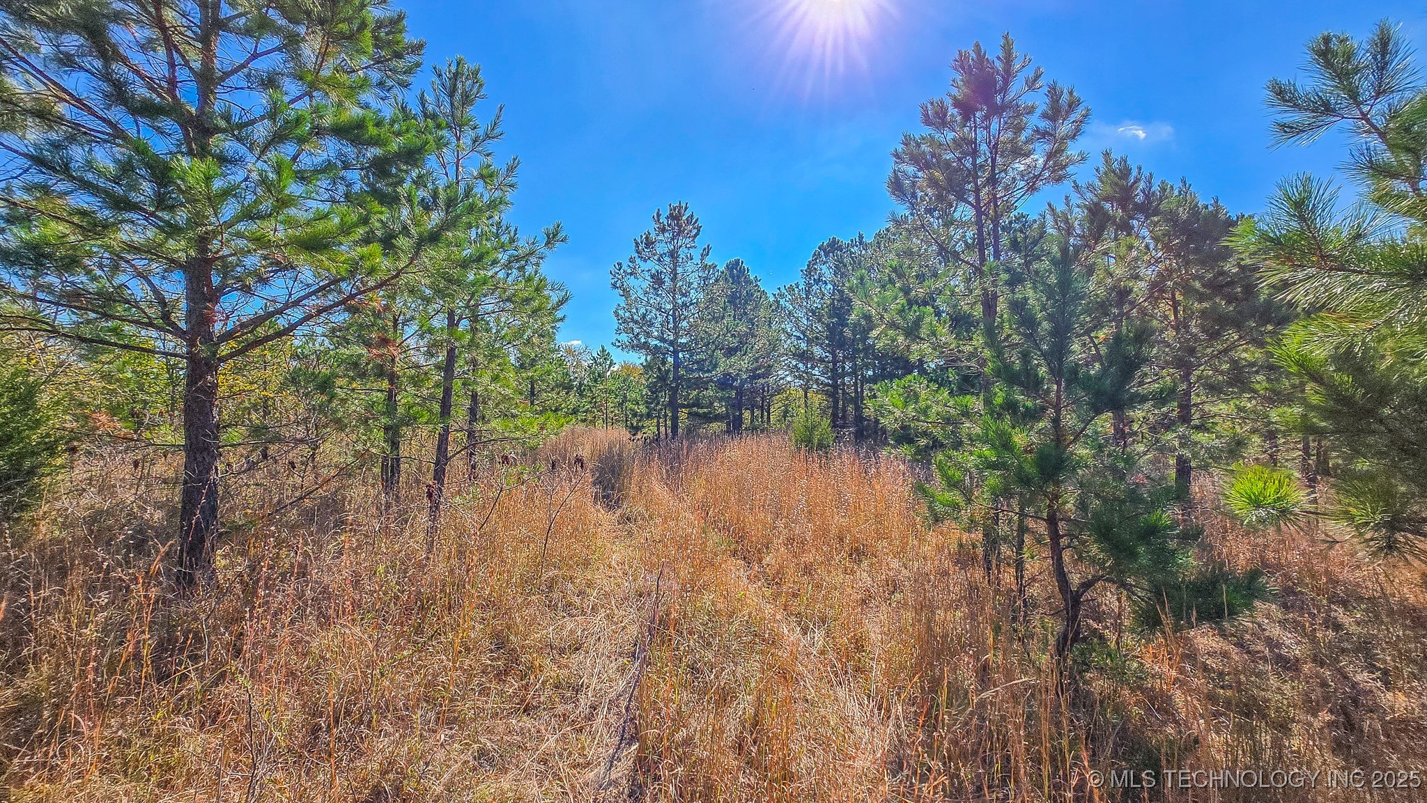 S 4270 Road Property Photo 40