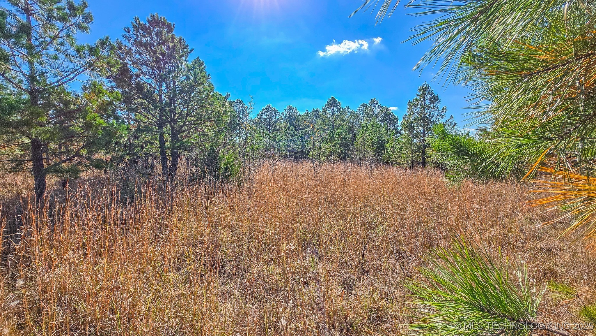 S 4270 Road Property Photo 42