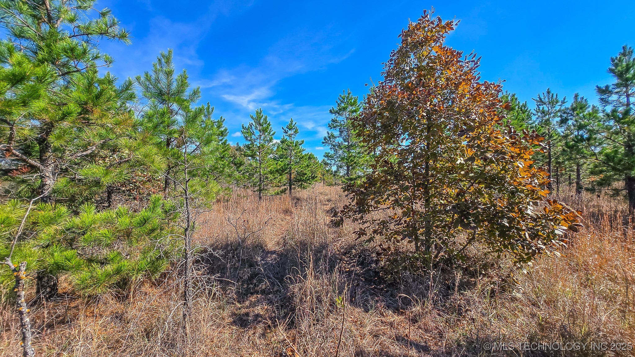 S 4270 Road Property Photo 43