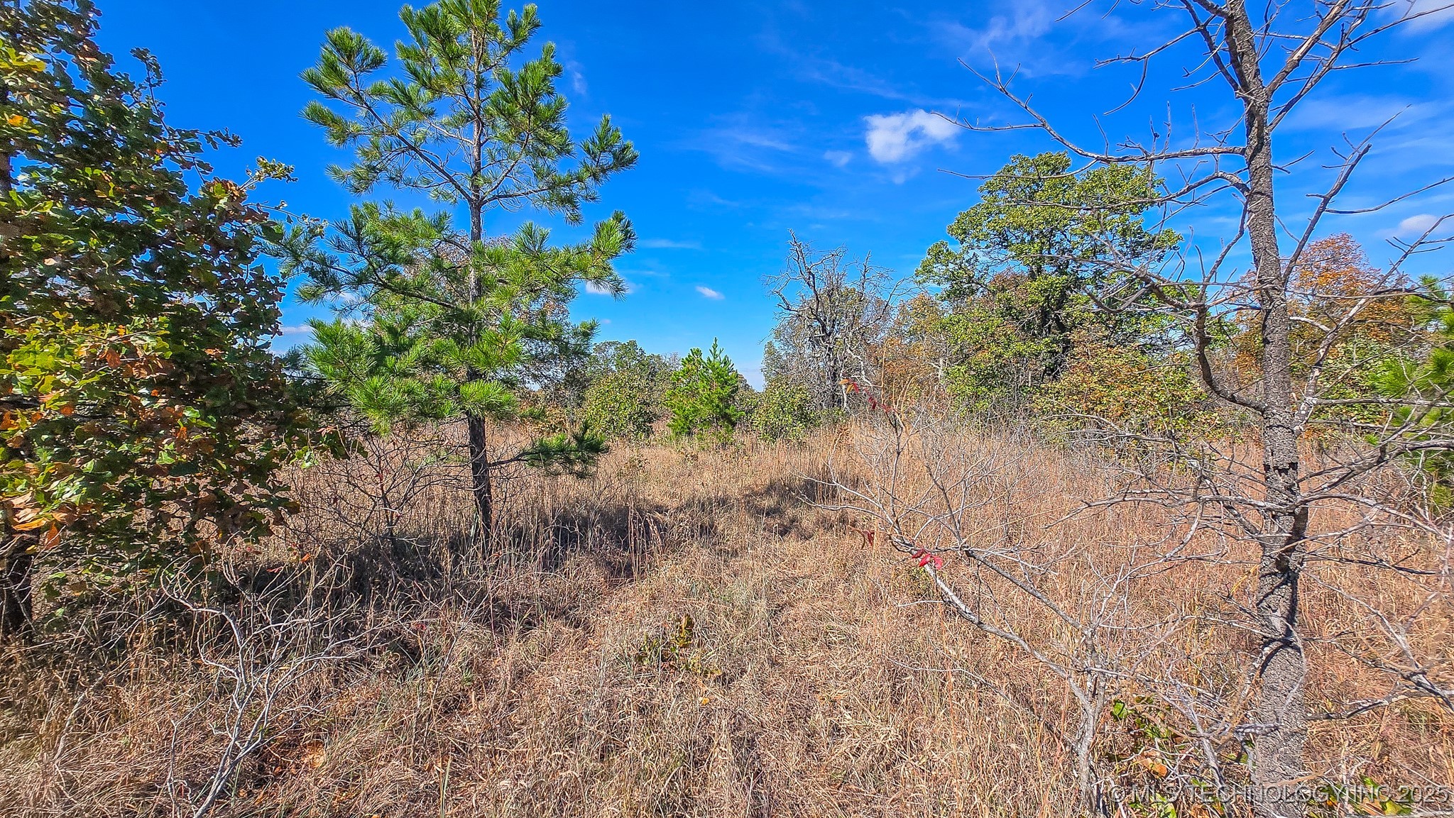 S 4270 Road Property Photo 44