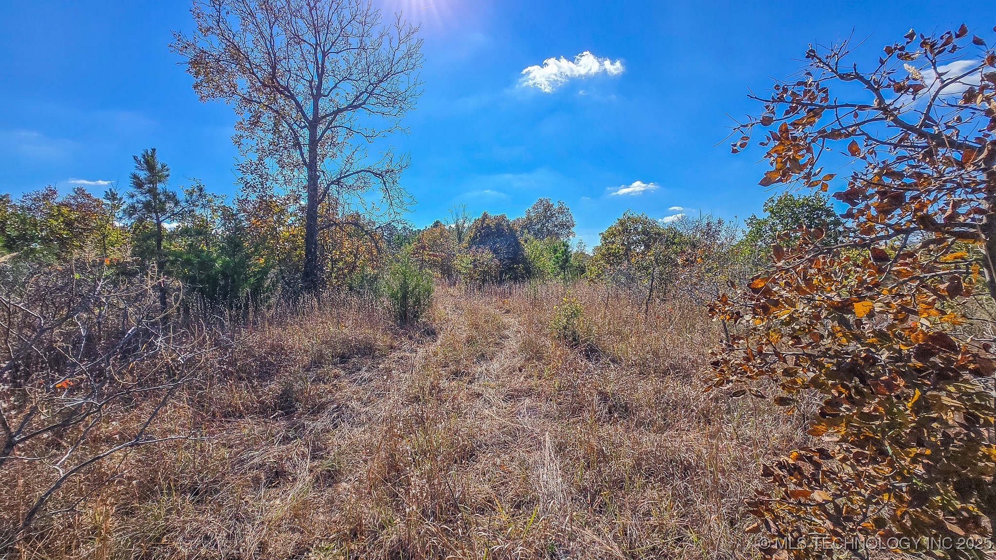 S 4270 Road Property Photo 46