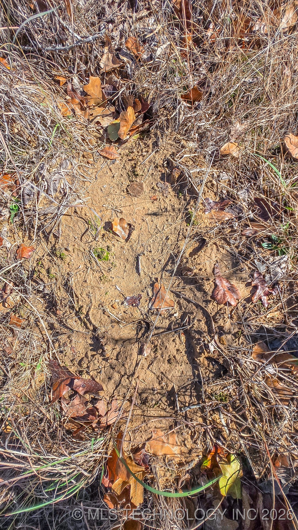 S 4270 Road Property Photo 49