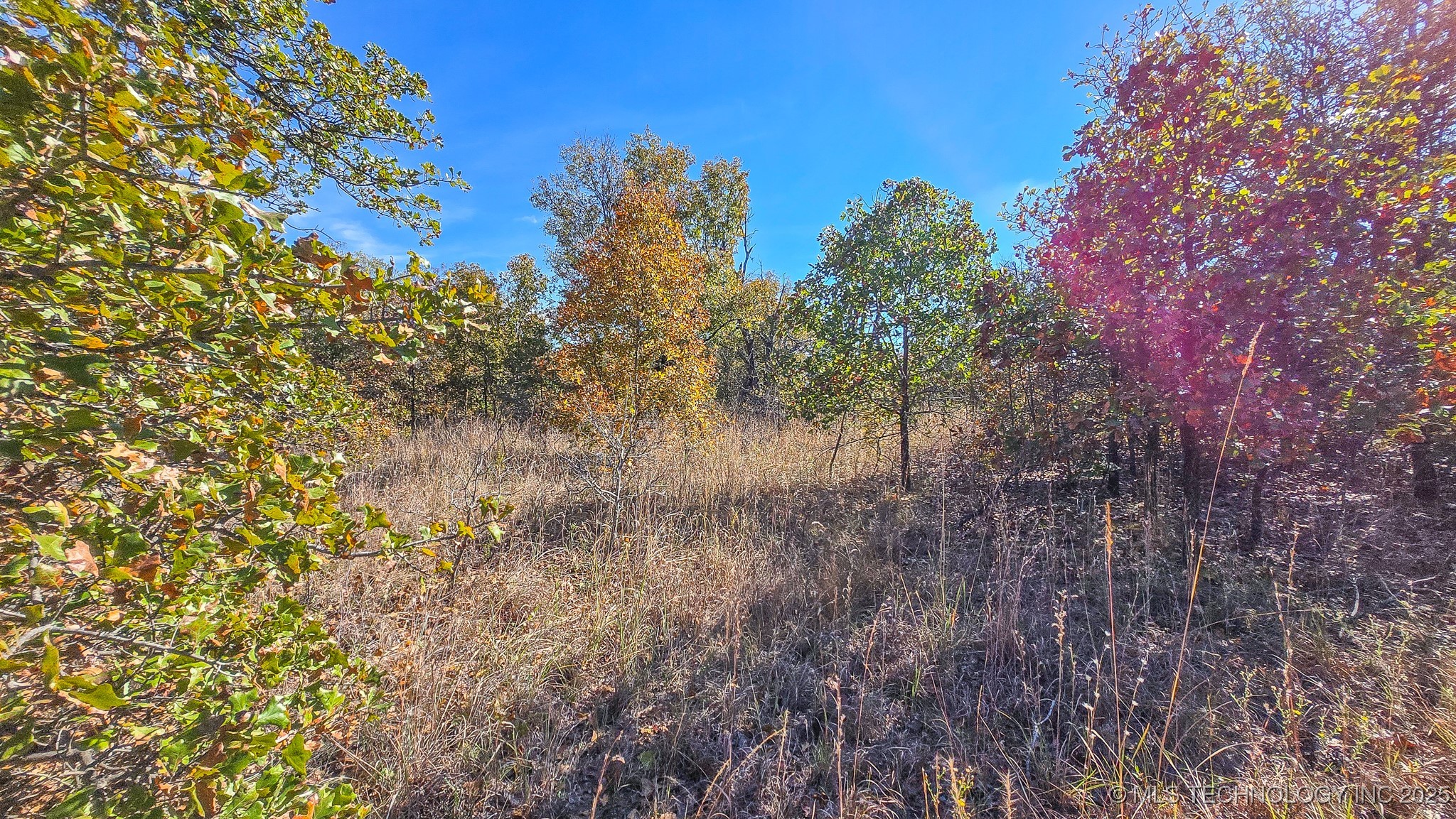 S 4270 Road Property Photo 50