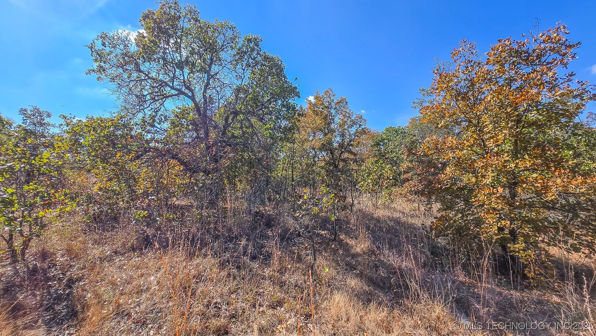 S 4270 Road Property Photo 51