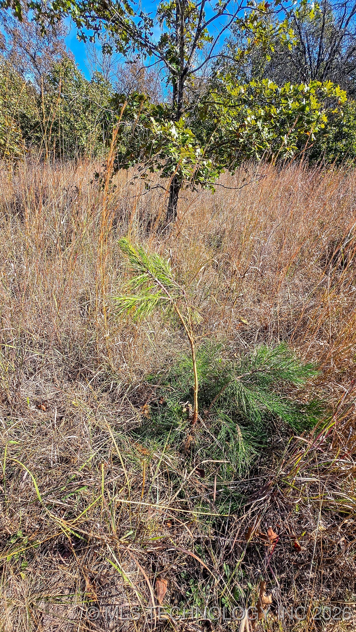 S 4270 Road Property Photo 53