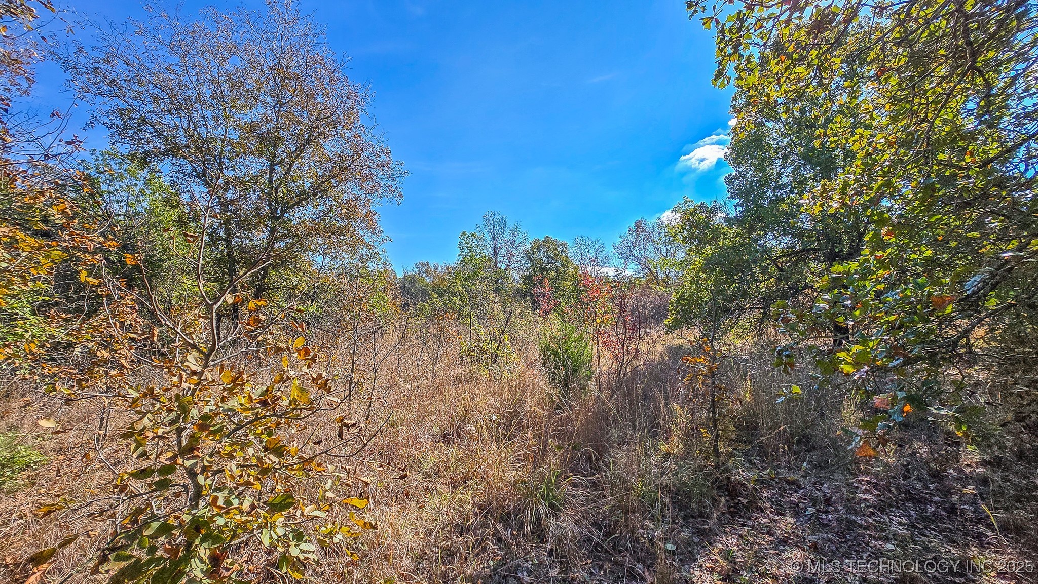 S 4270 Road Property Photo 56