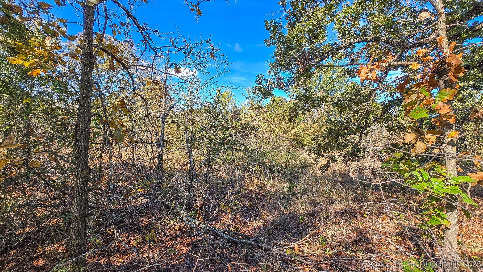 S 4270 Road Property Photo 58