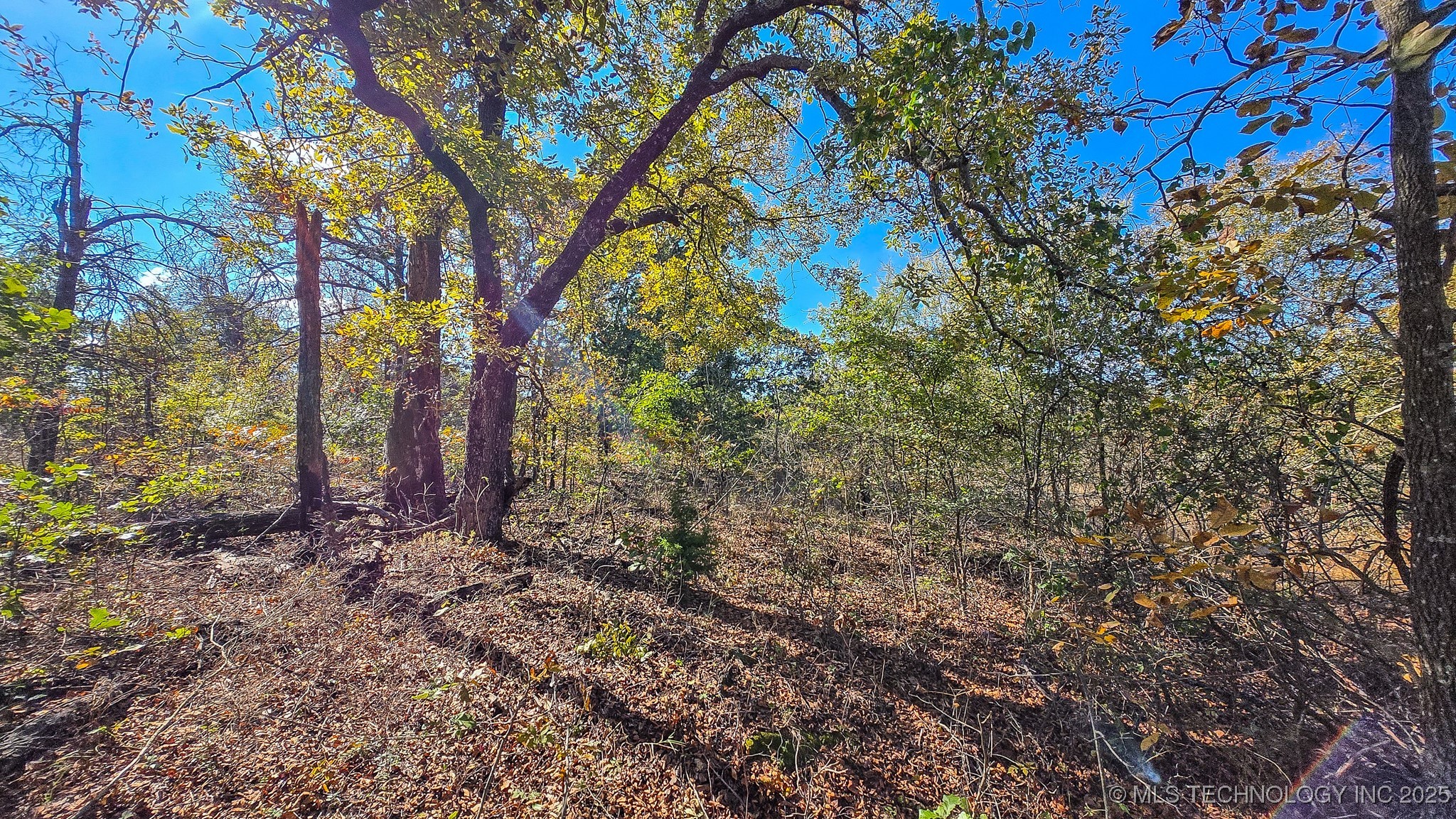S 4270 Road Property Photo 59