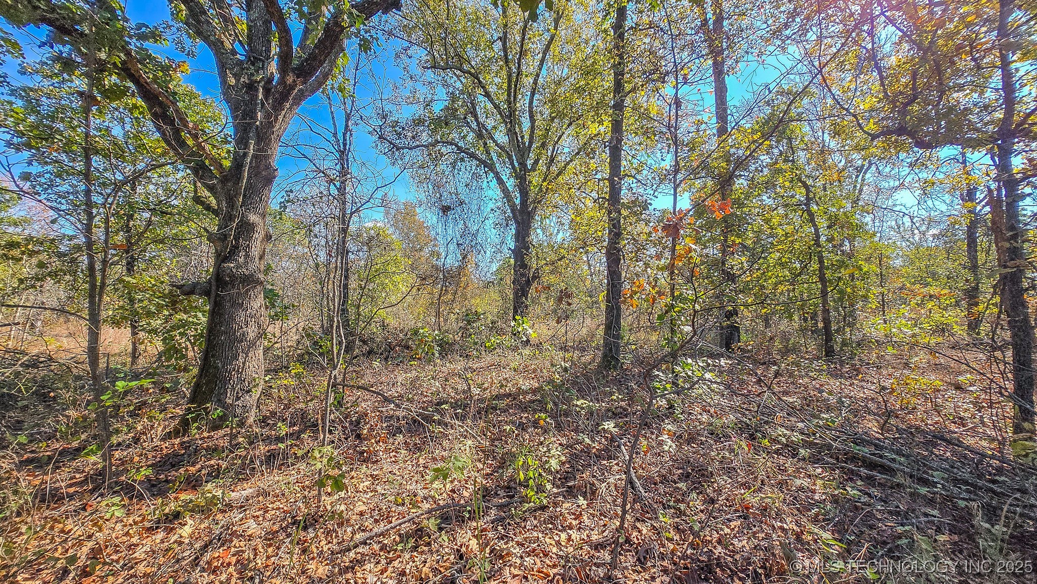 S 4270 Road Property Photo 60