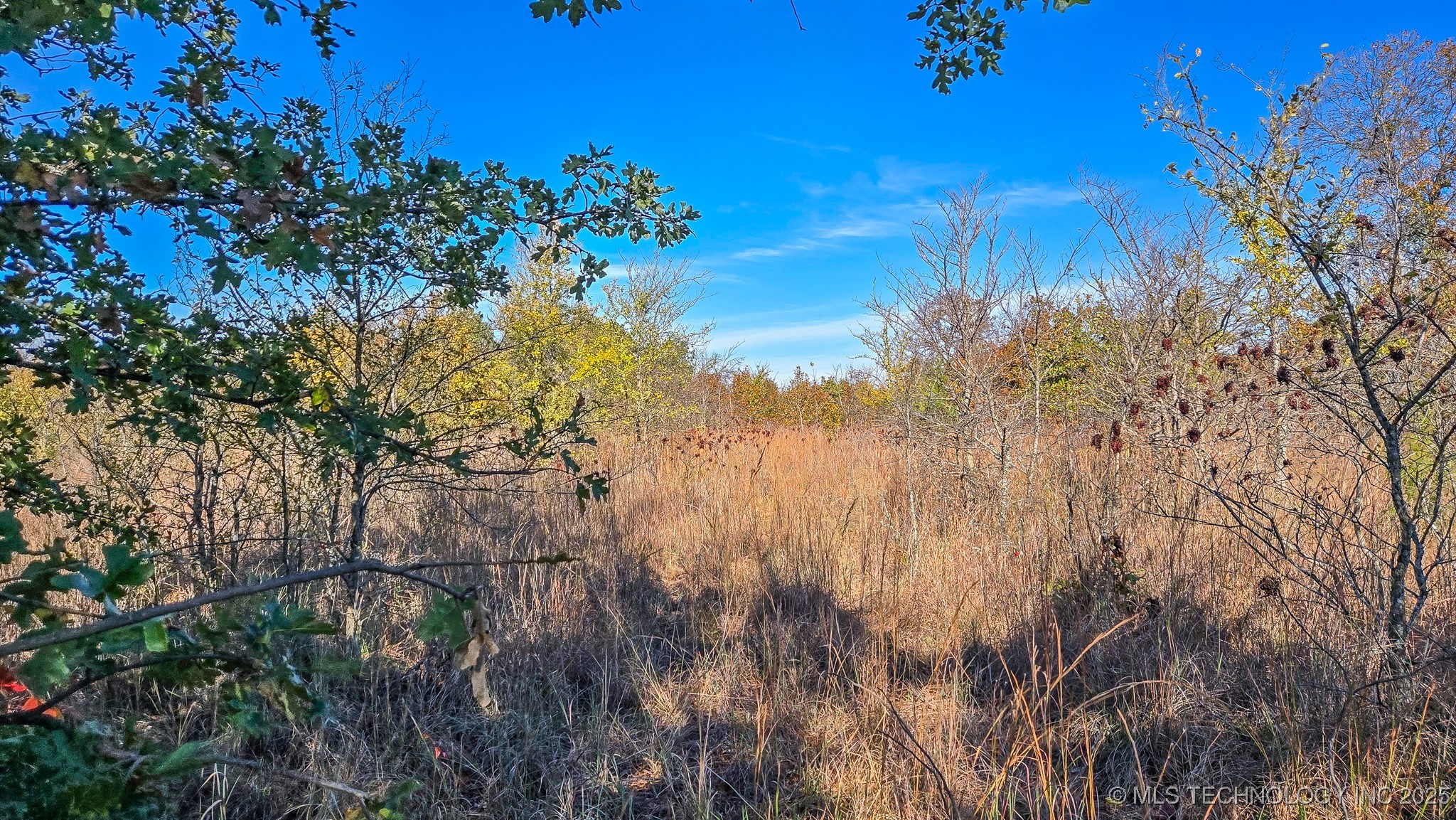 S 4270 Road Property Photo 62