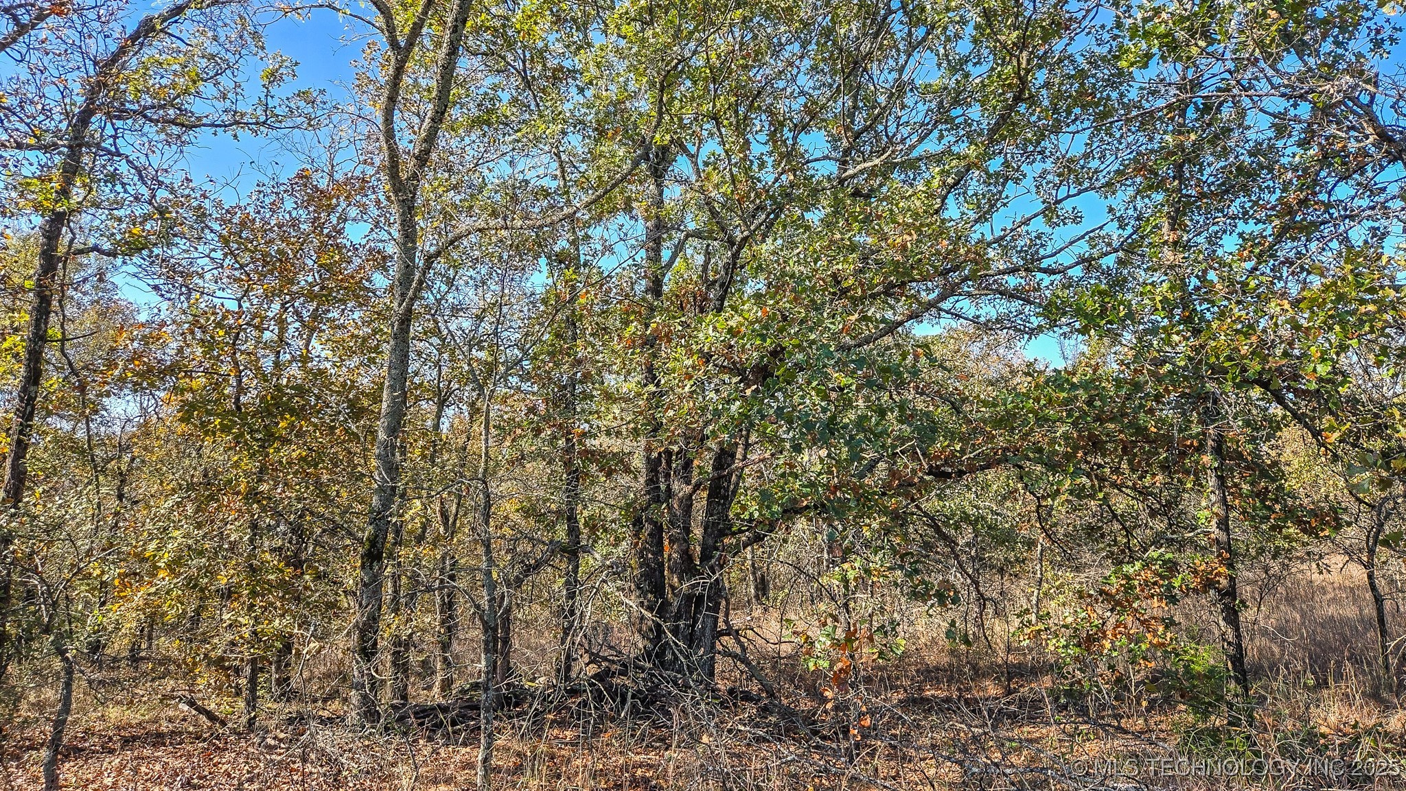 S 4270 Road Property Photo 63