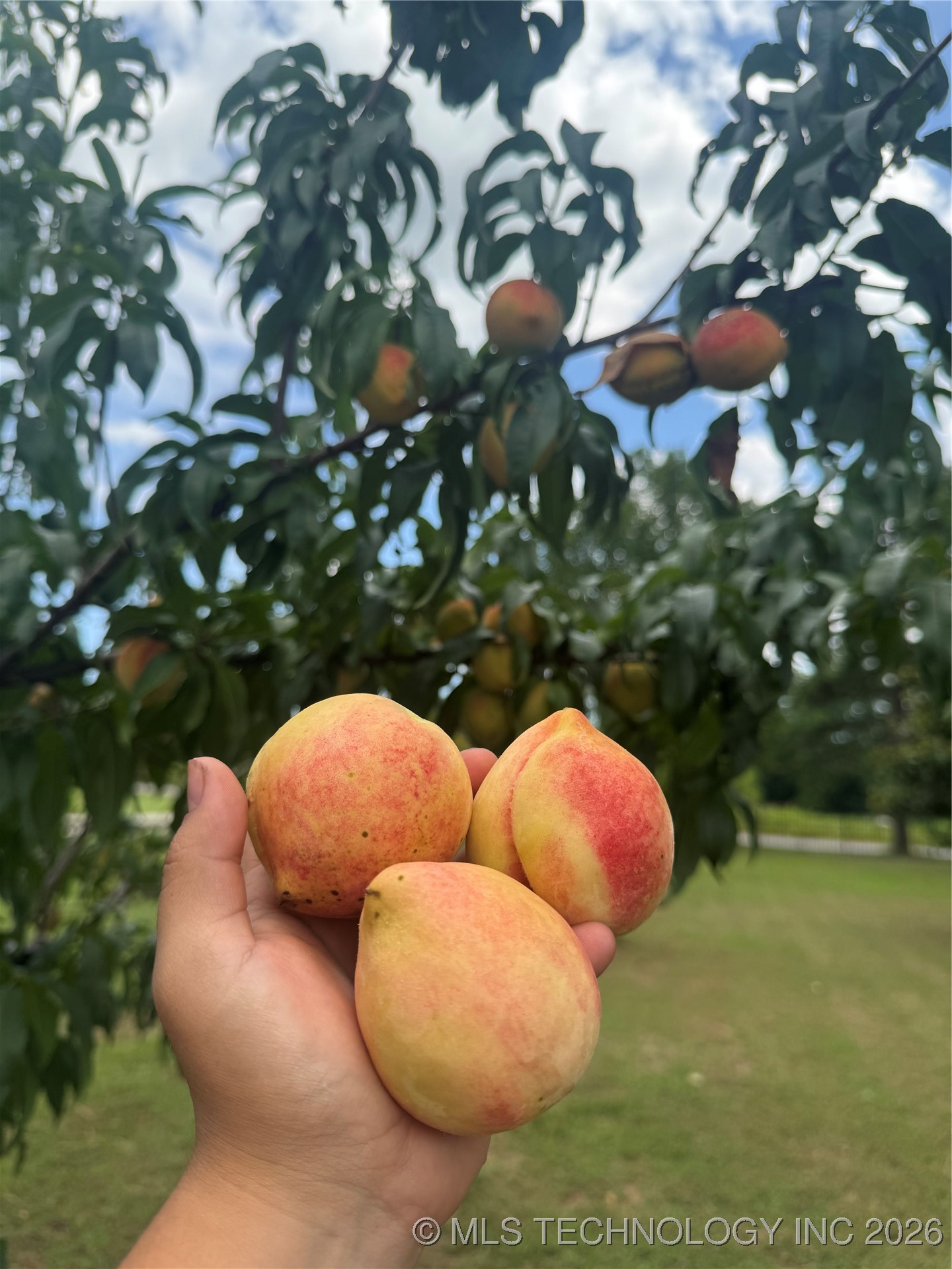 3340 E Smith Ferry Property Photo 31