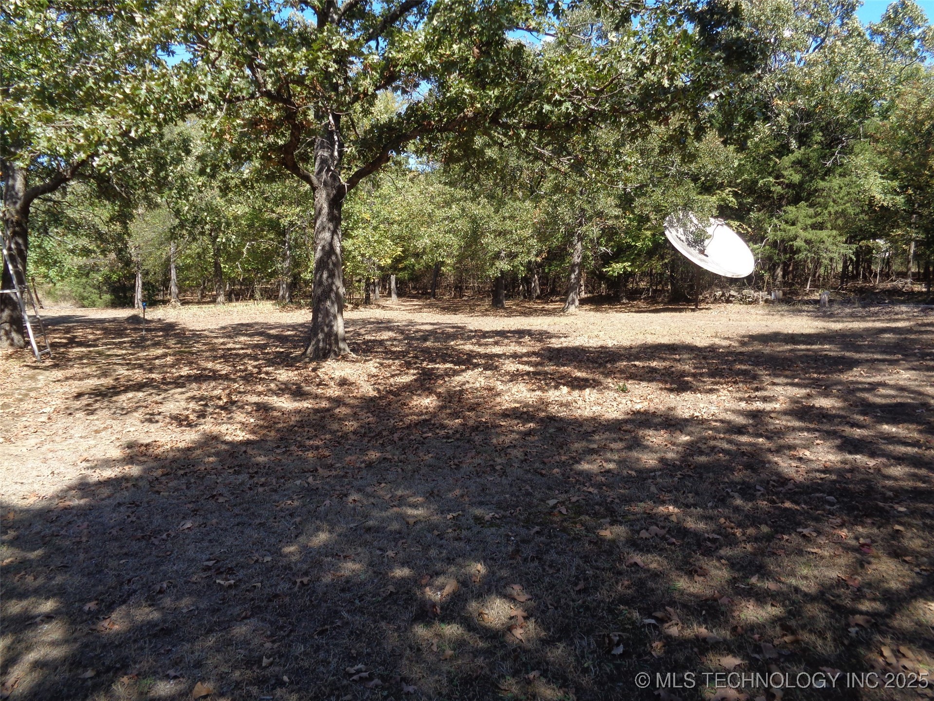 203 Oak Avenue Property Photo 5