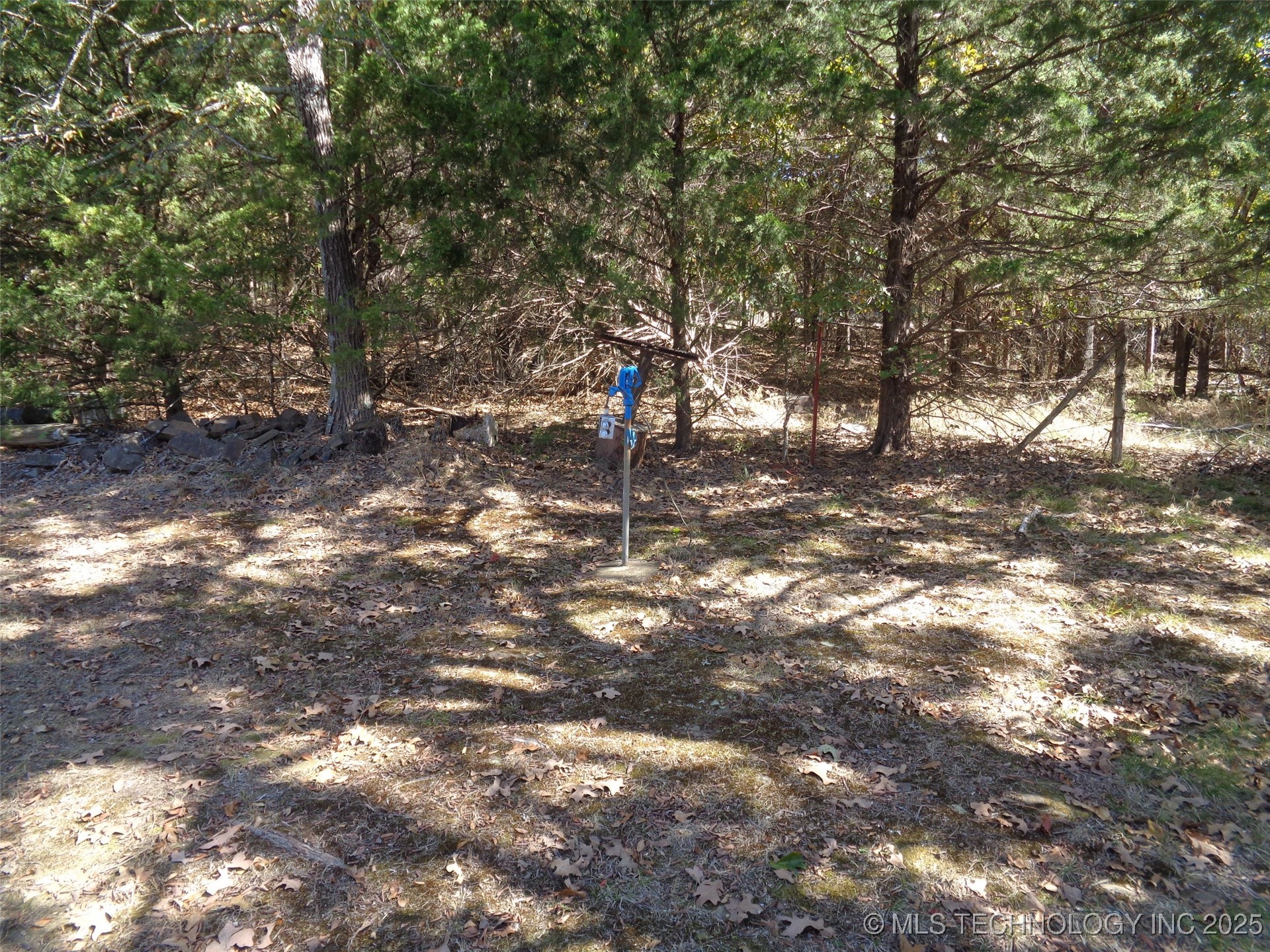 203 Oak Avenue Property Photo 6