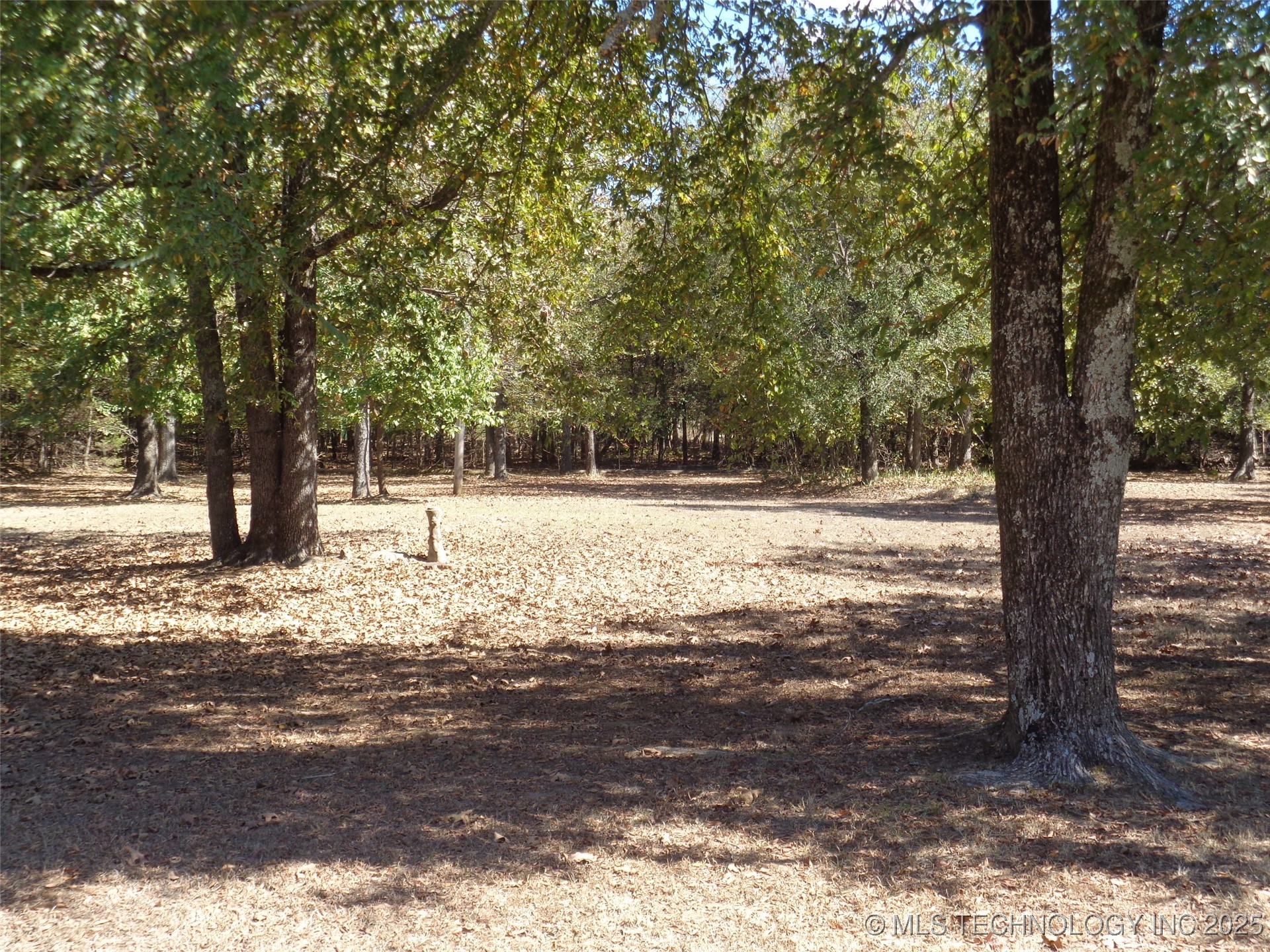 203 Oak Avenue Property Photo 21