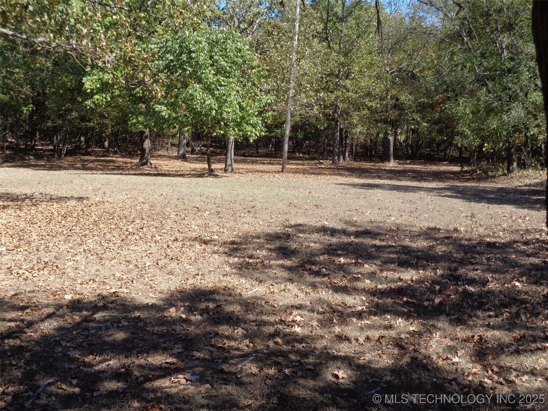 203 Oak Avenue Property Photo 22