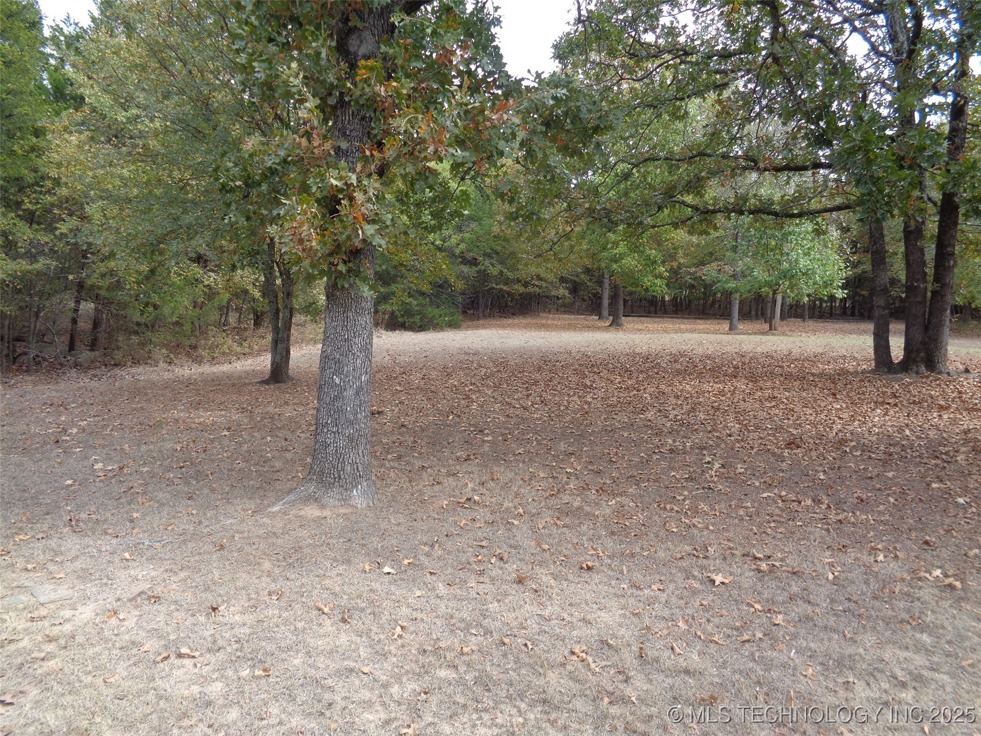 Oak Avenue Property Photo 1