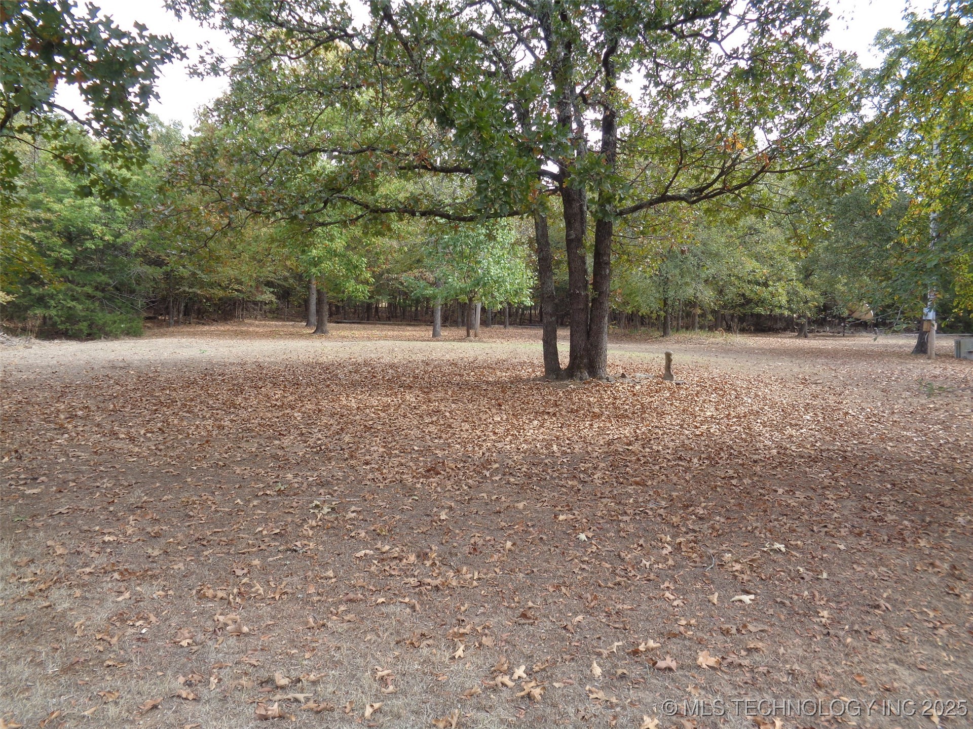 Oak Avenue Property Photo 2