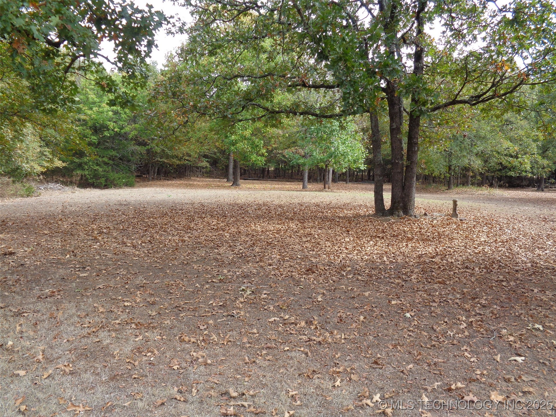 Oak Avenue Property Photo 3