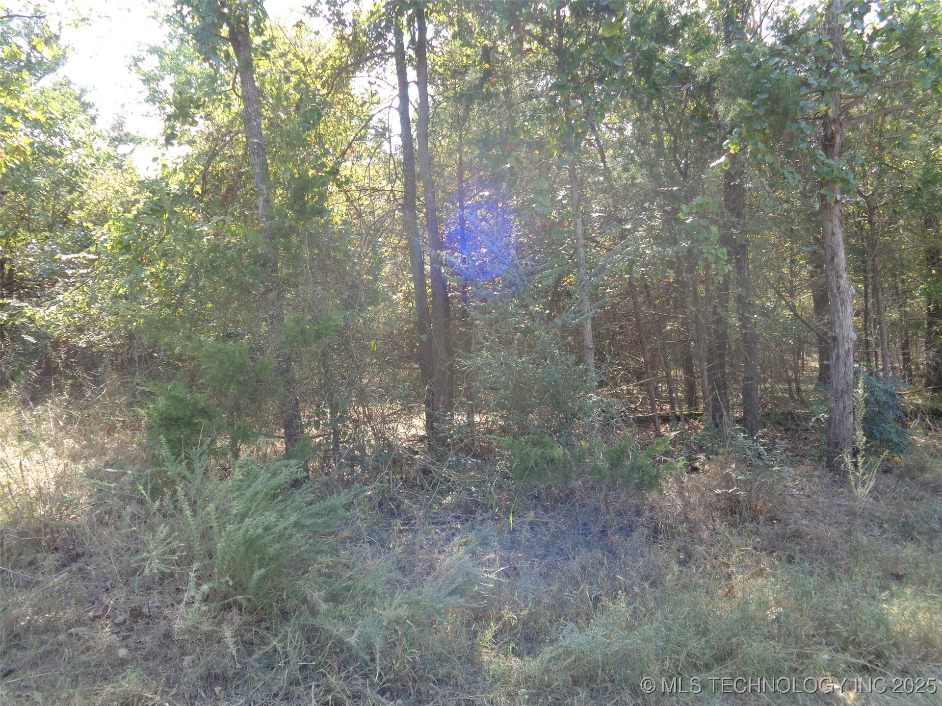 Oak Avenue Property Photo 2