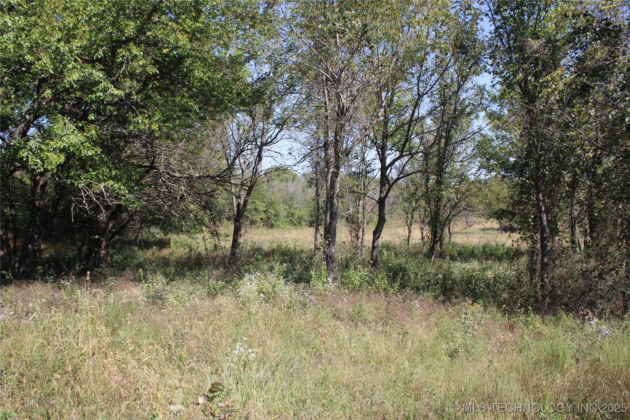 0000 E Hwy 60 Property Photo 43