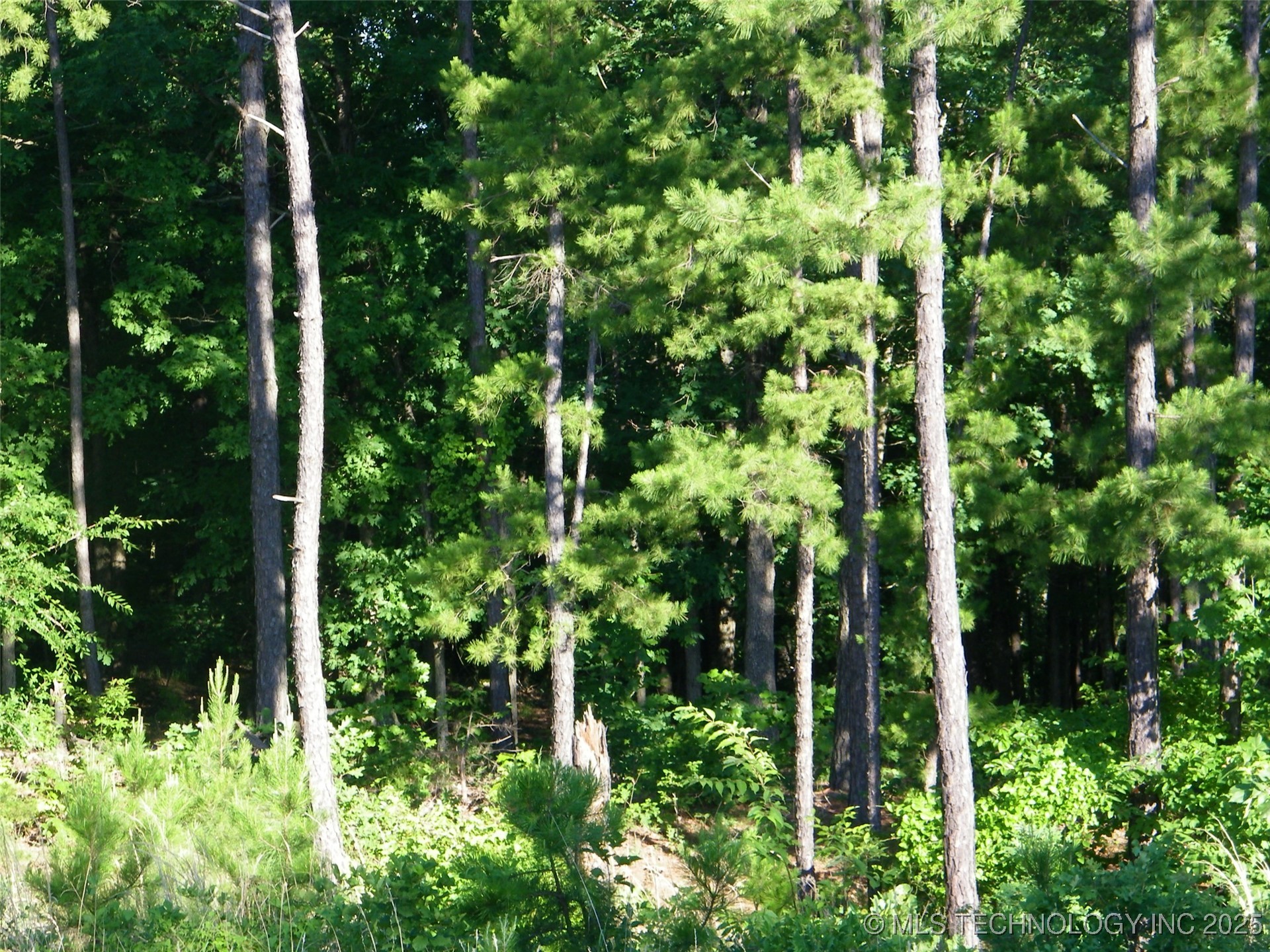 Ne 155th Street Property Photo 2