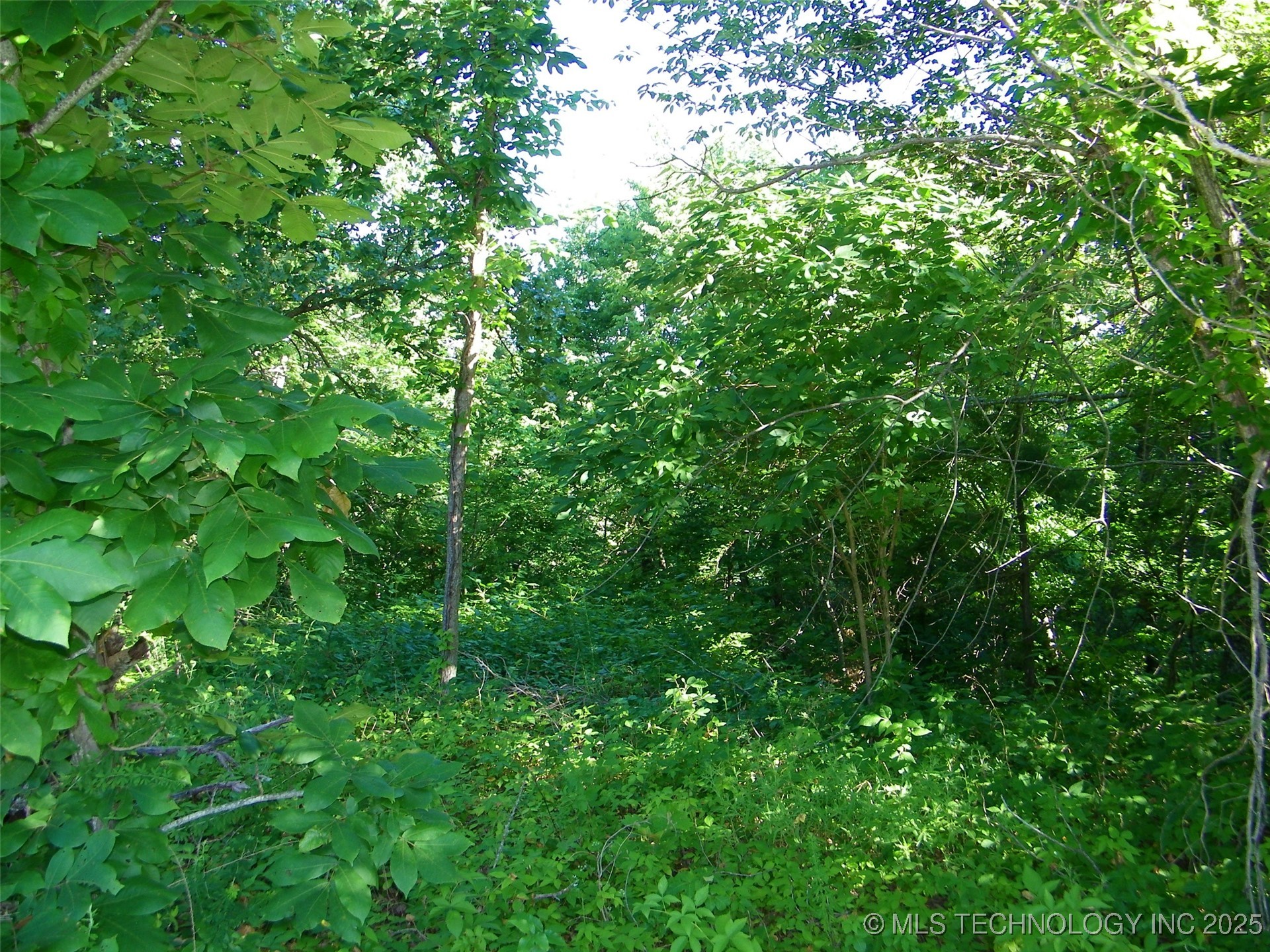 Ne 155th Street Property Photo 3