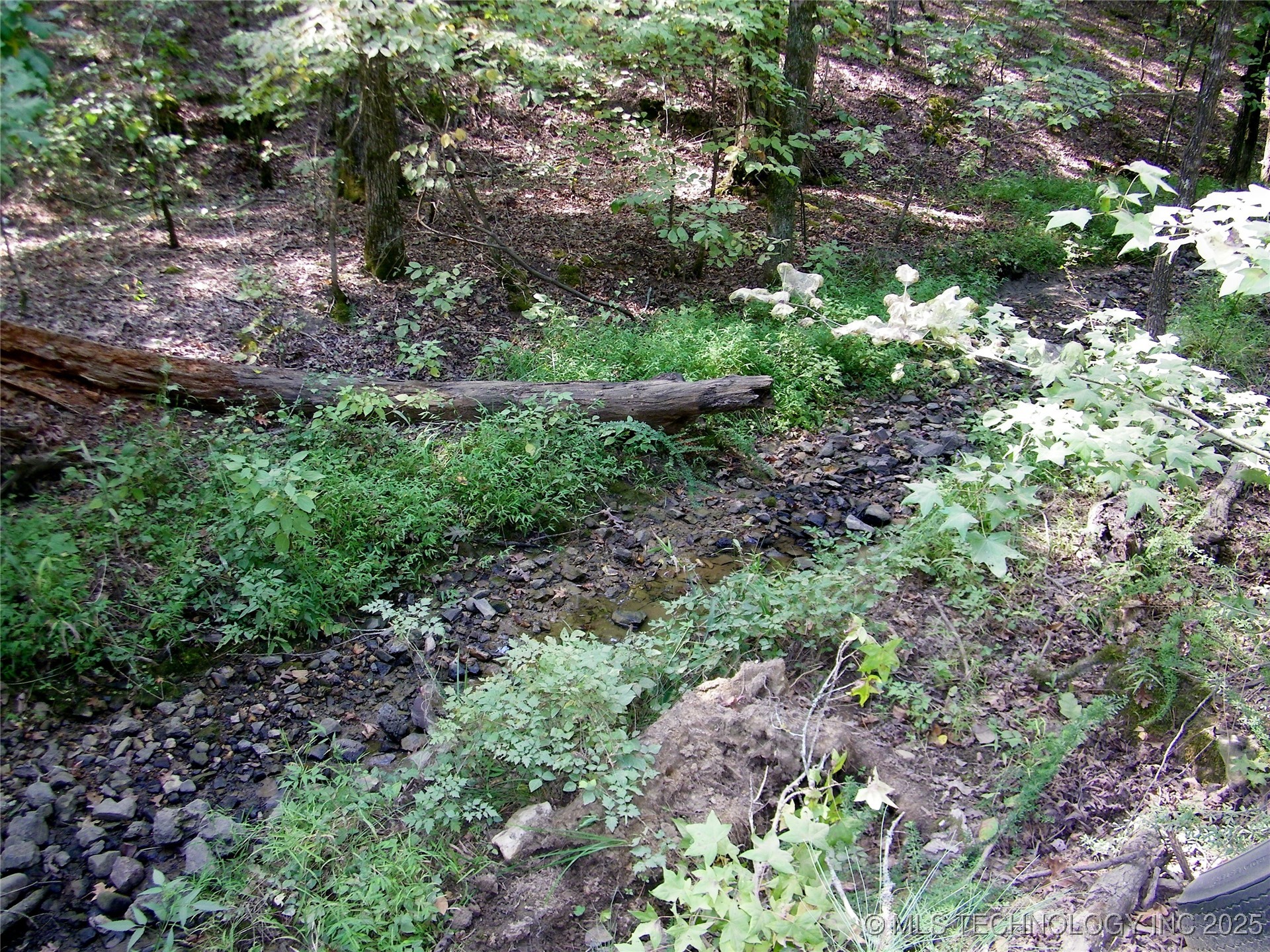 Ne 155th Street Property Photo 5