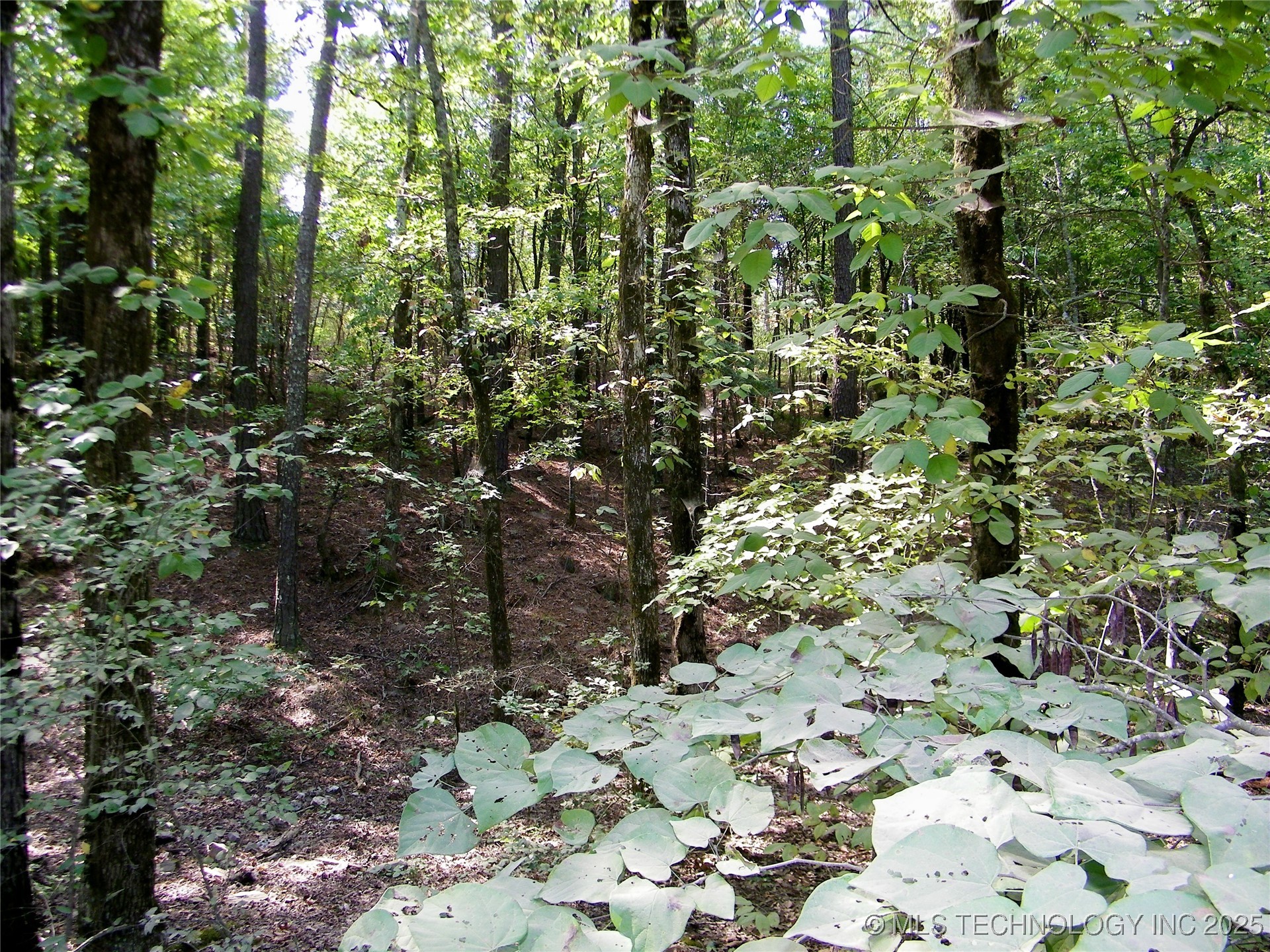 Ne 155th Street Property Photo 10