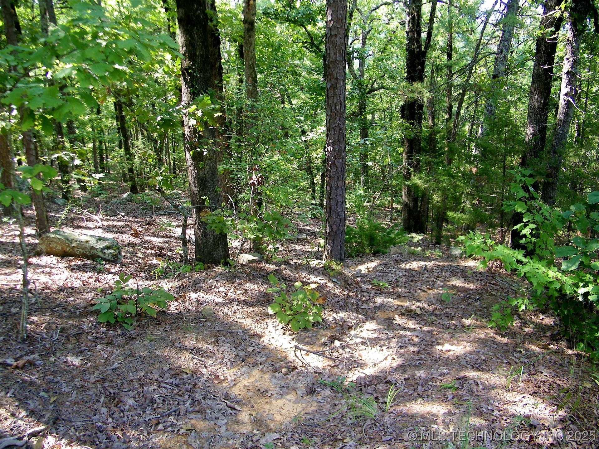 Ne 155th Street Property Photo 16