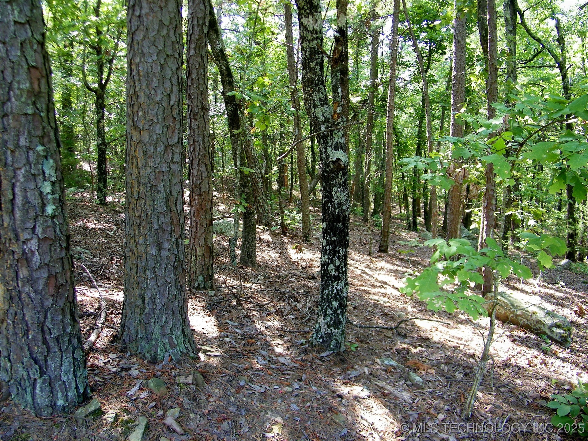 Ne 155th Street Property Photo 17