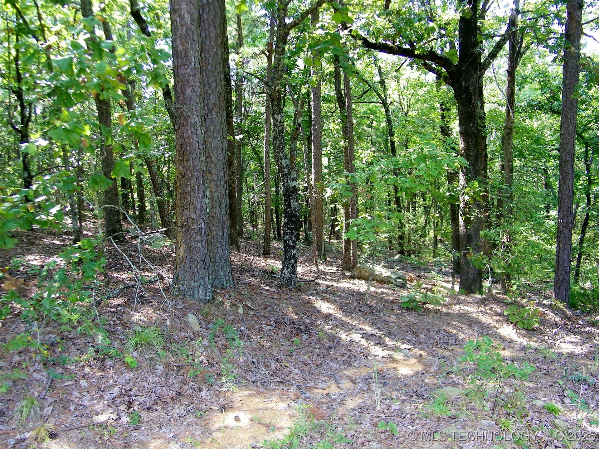 Ne 155th Street Property Photo 20