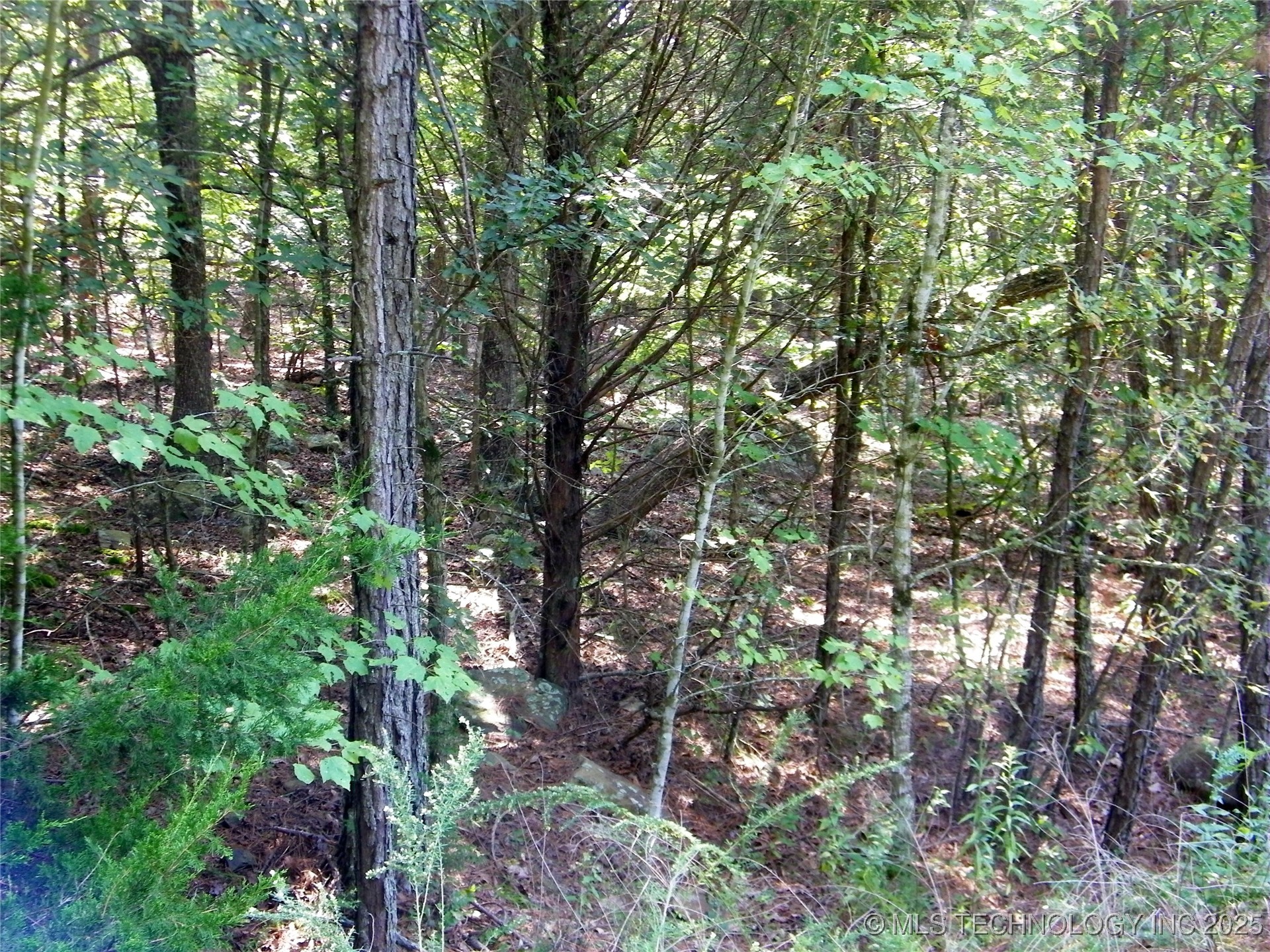 Ne 155th Street Property Photo 29