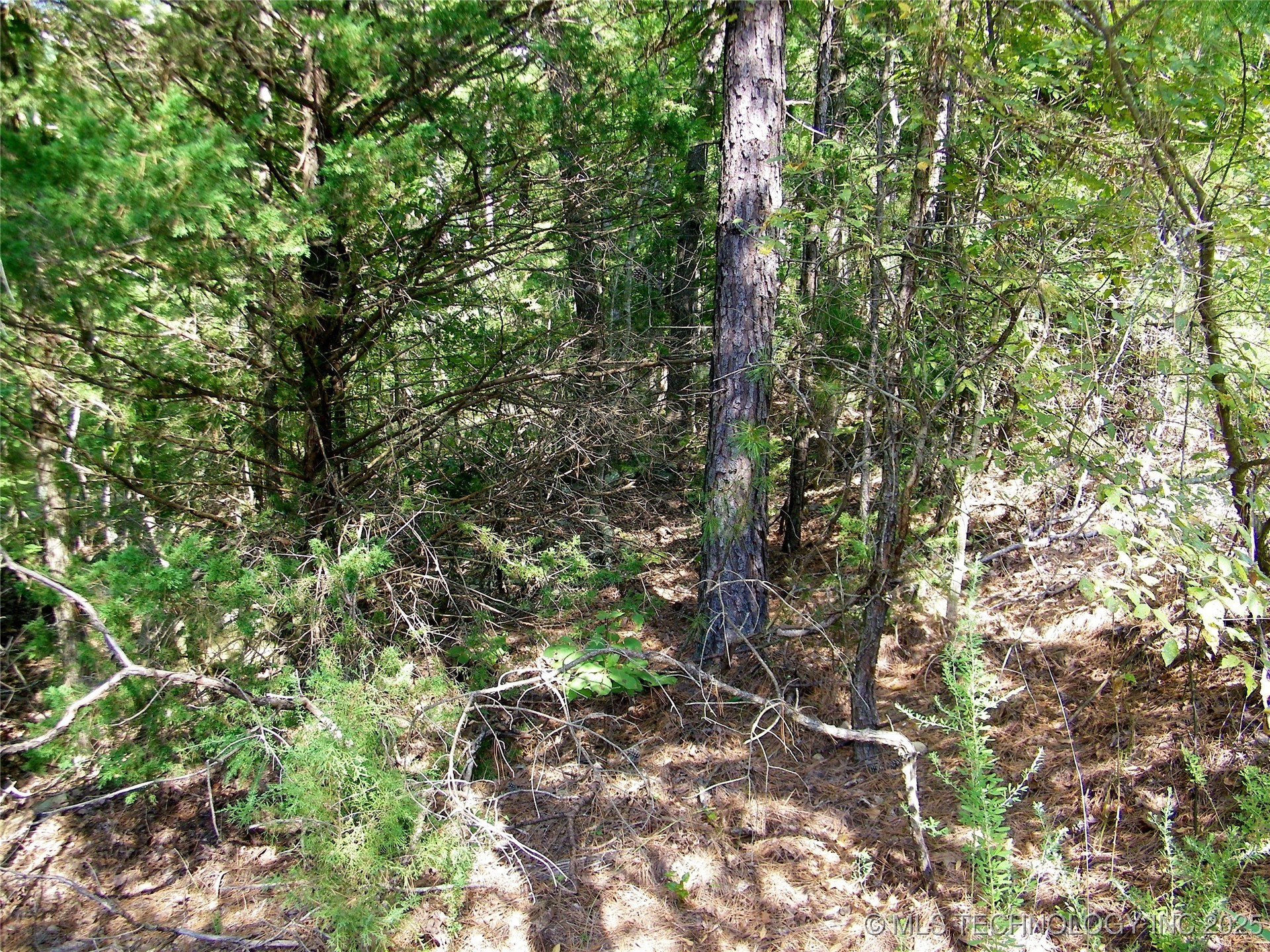 Ne 155th Street Property Photo 32