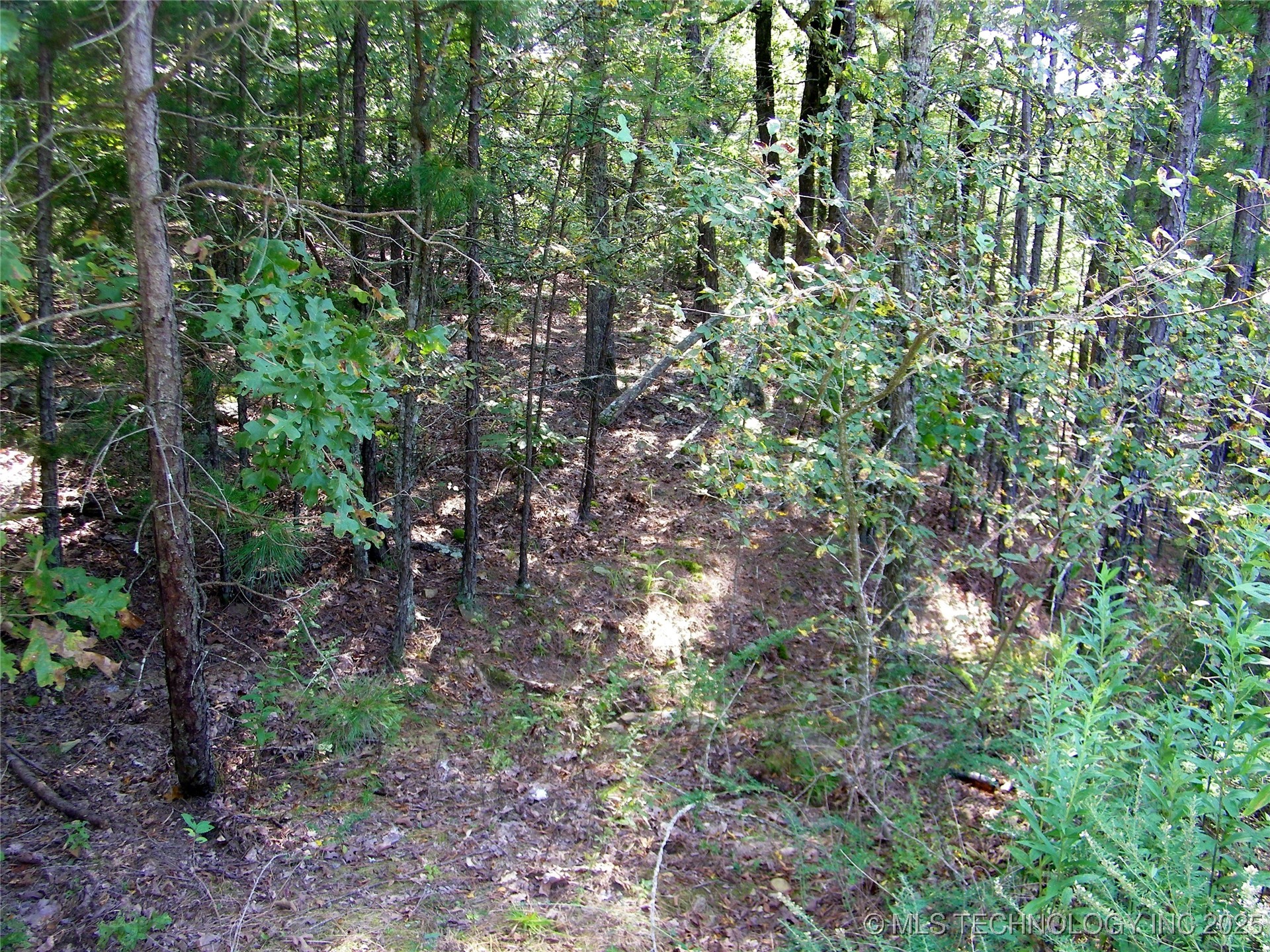 Ne 155th Street Property Photo 59