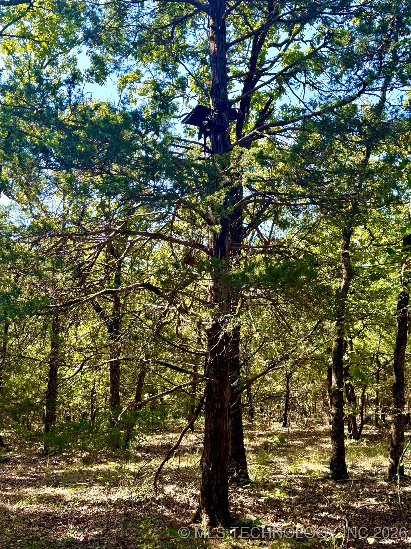 14741 E 147th Street S Property Photo 41