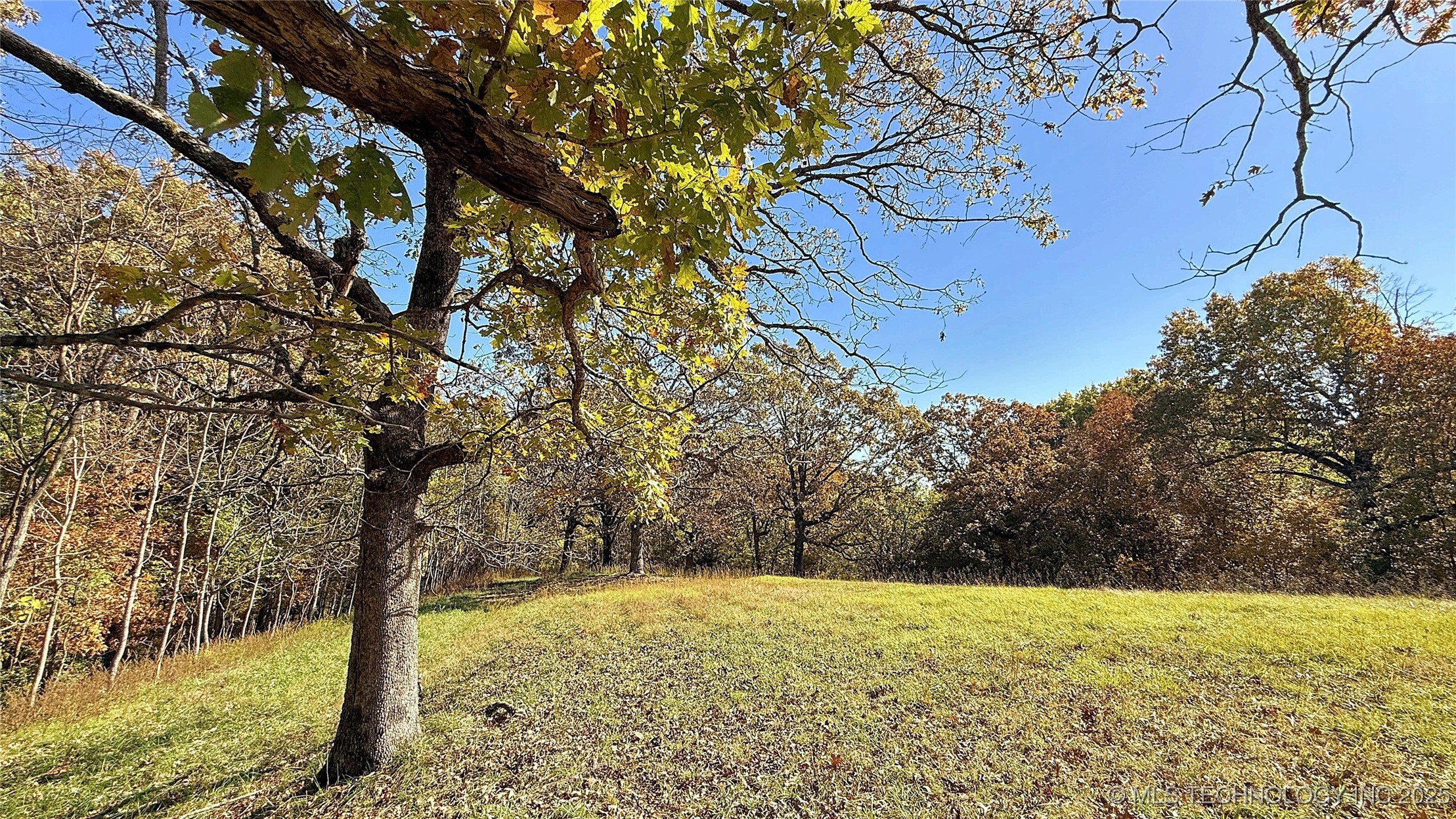 613 Hilltop Circle Property Photo 1