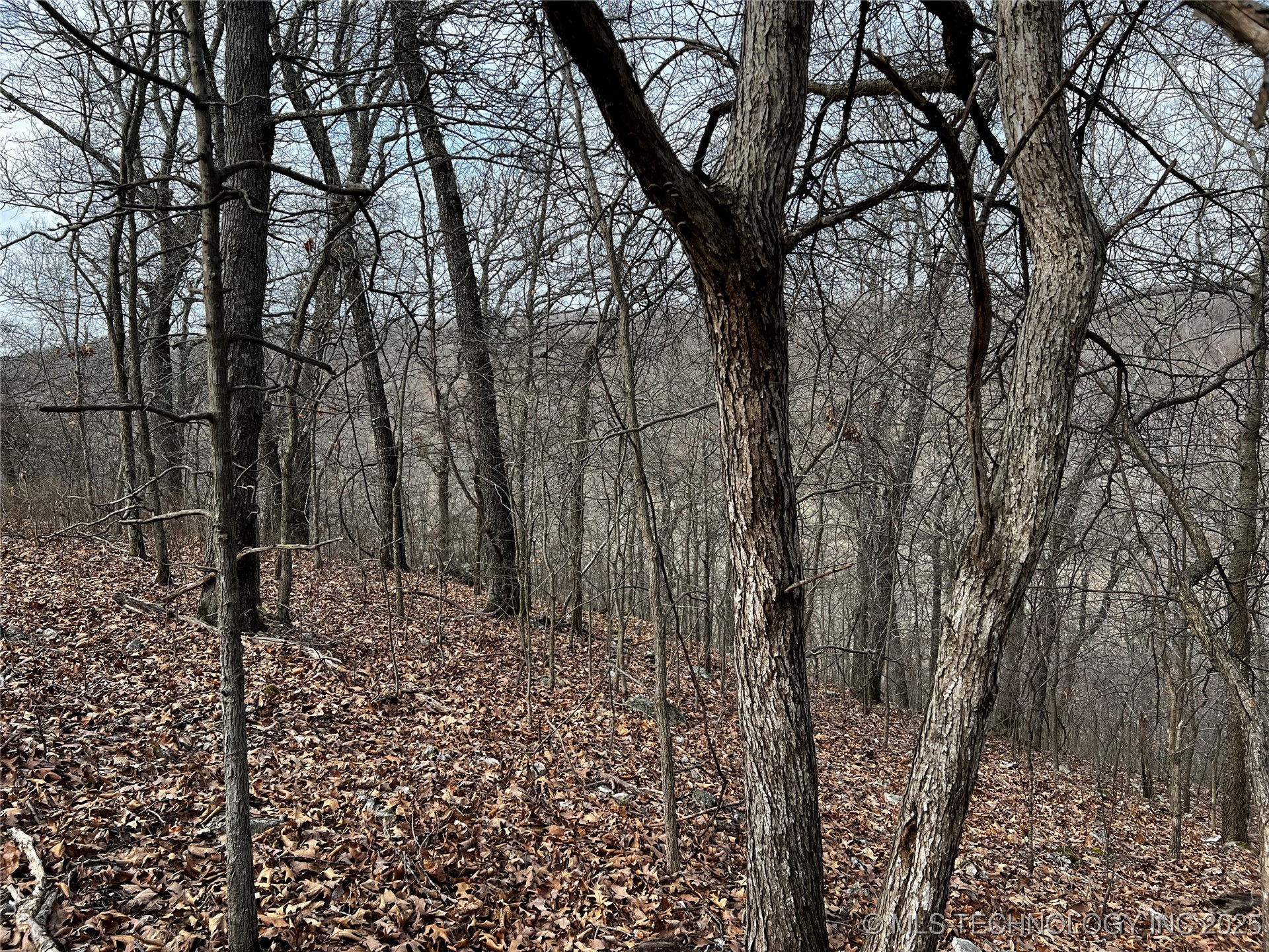 485 Property Photo 3