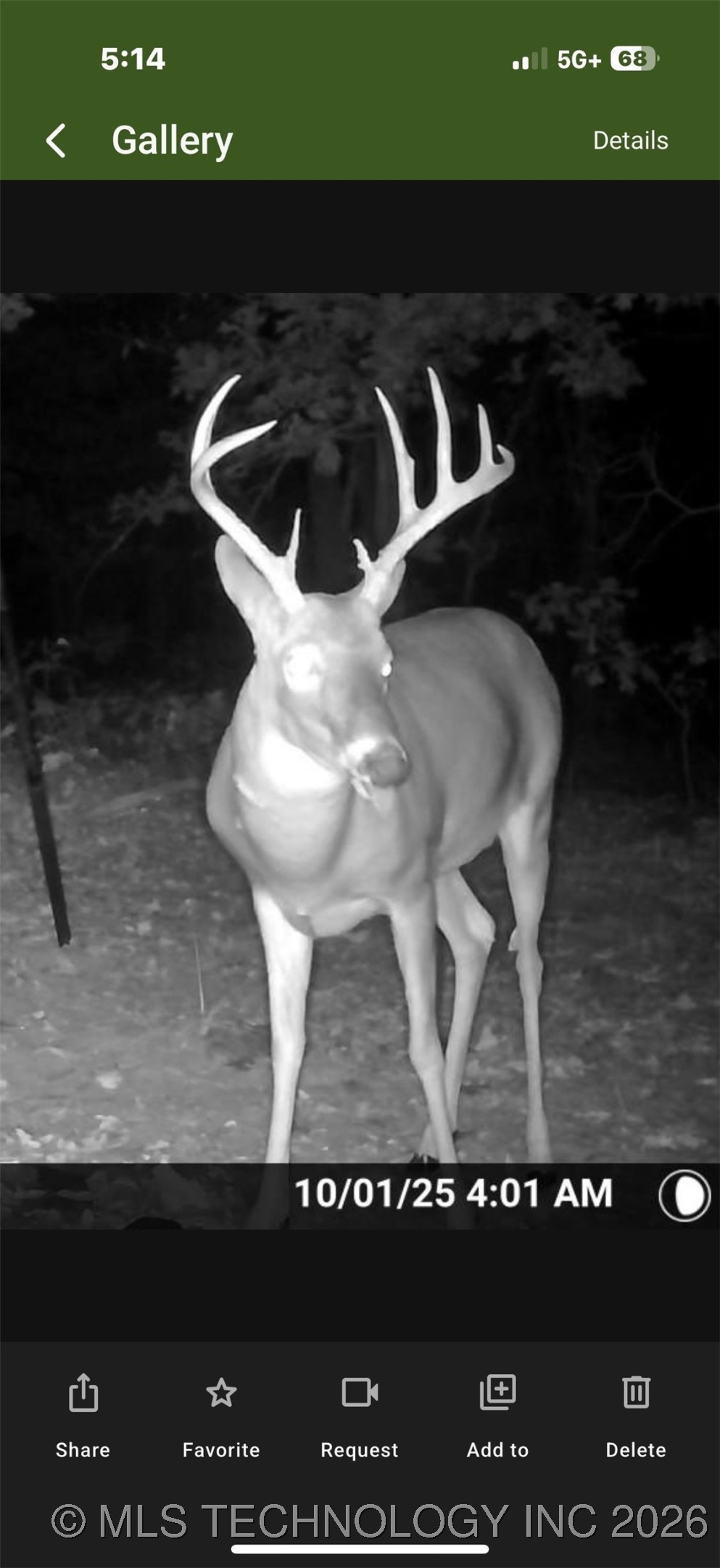 485 Property Photo 4