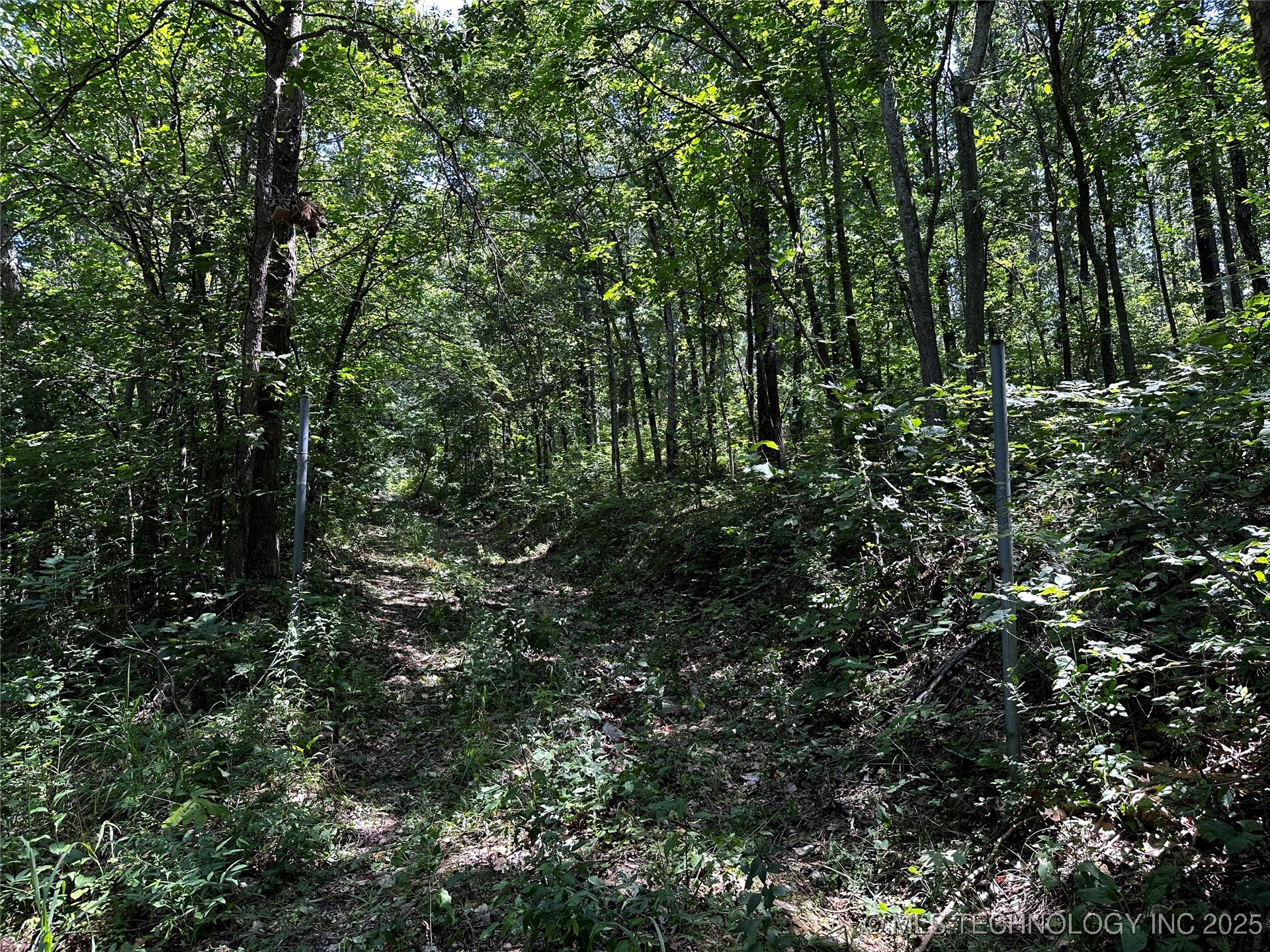 485 Property Photo 5