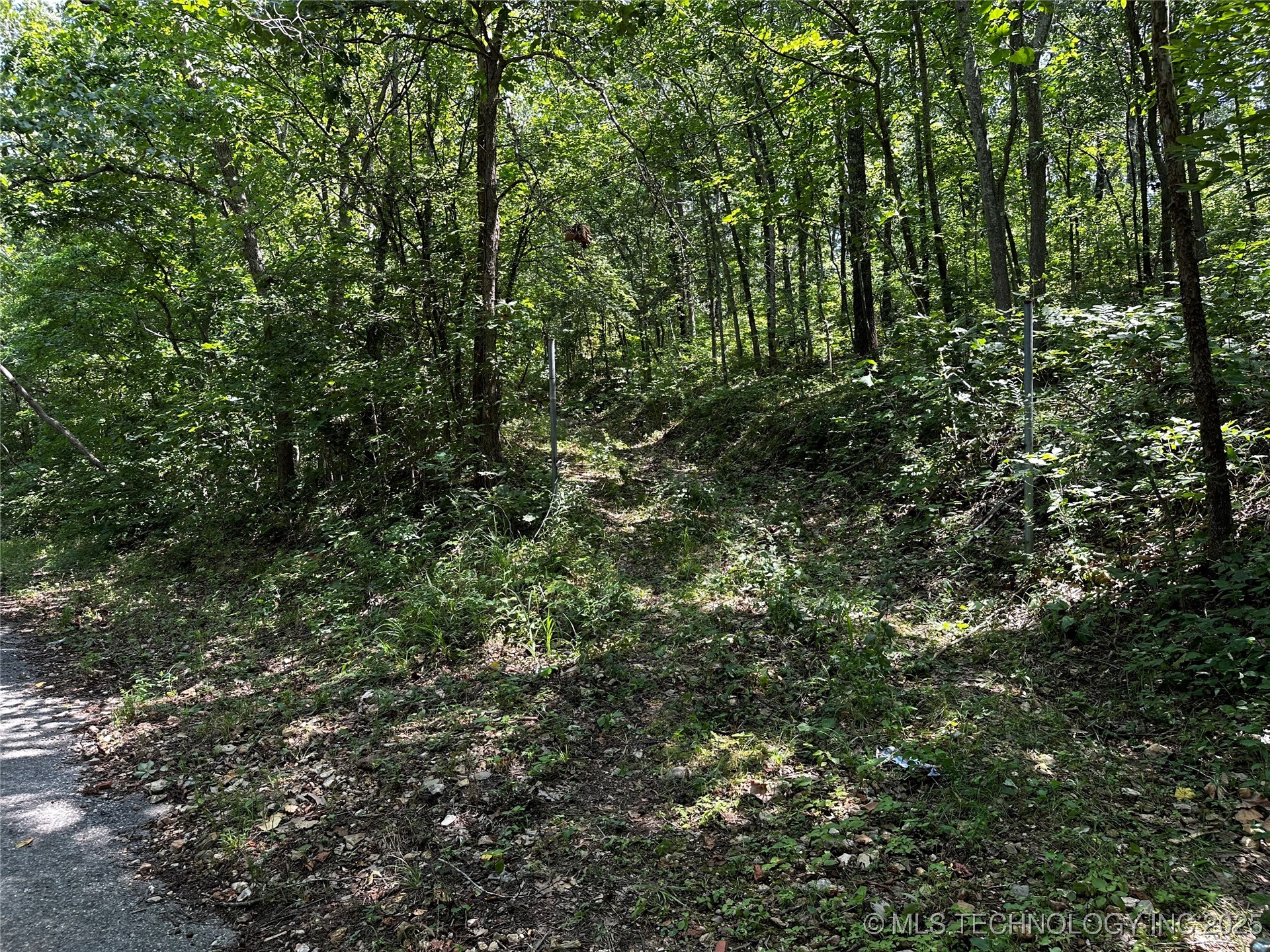 485 Property Photo 8