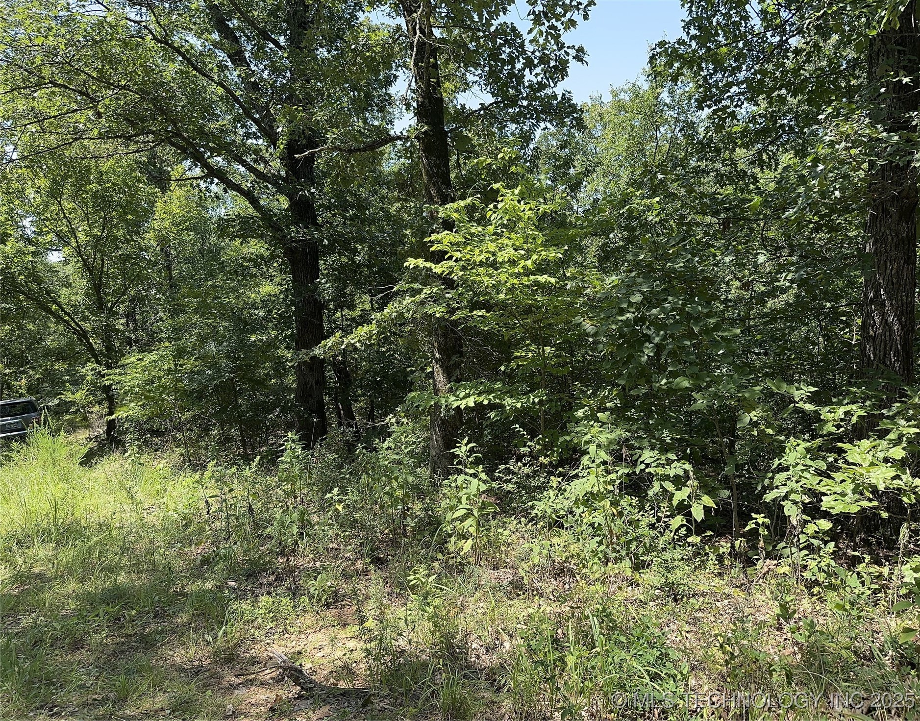 485 Property Photo 12